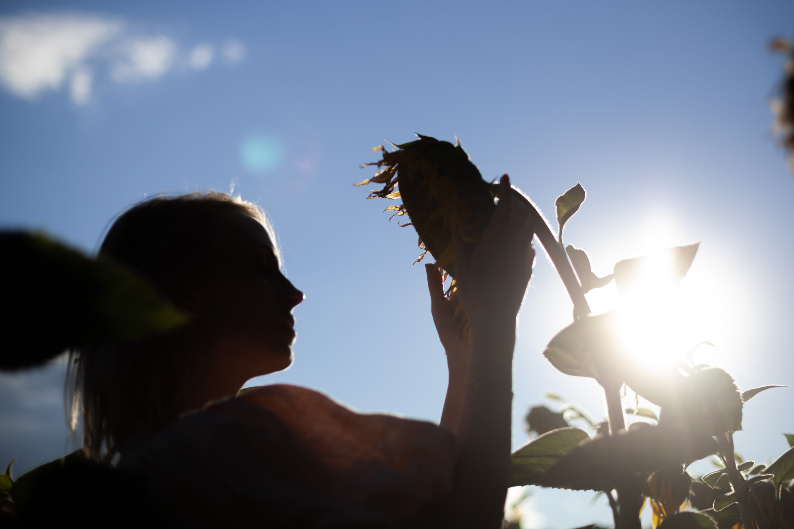 Коломна, стога и подсолнухи. Фотограф-анималист Татьяна Степанова
