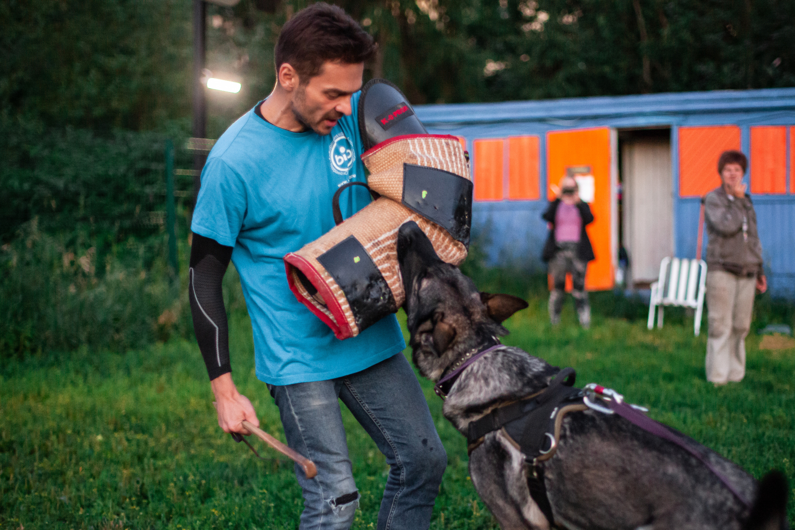 Занятие ЗКС+Выборка 2022. Фотограф-анималист Татьяна Степанова