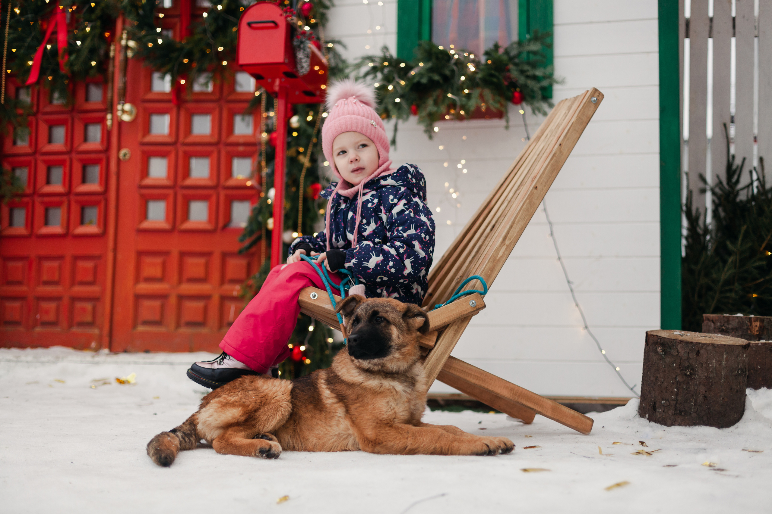 Новогодняя серия с ретромашиной. Фотограф-анималист Татьяна Степанова