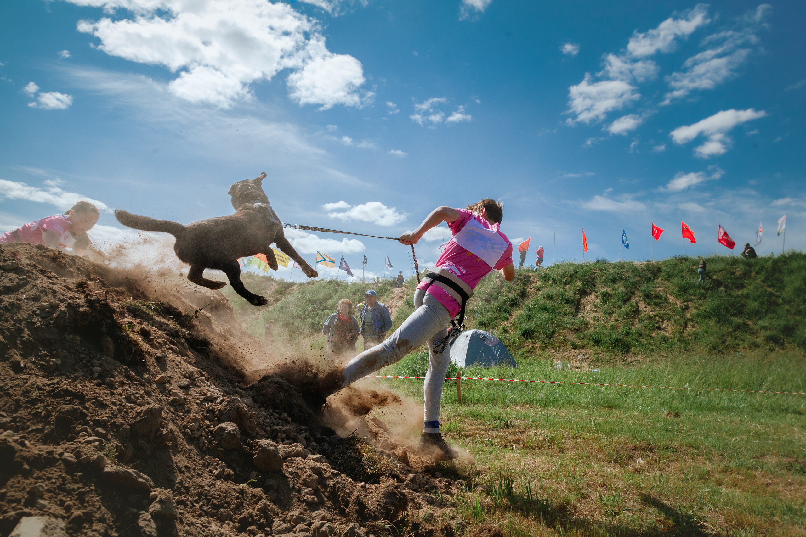 Хвостатый Драйв 11.06.2023. Фотограф-анималист Татьяна Степанова