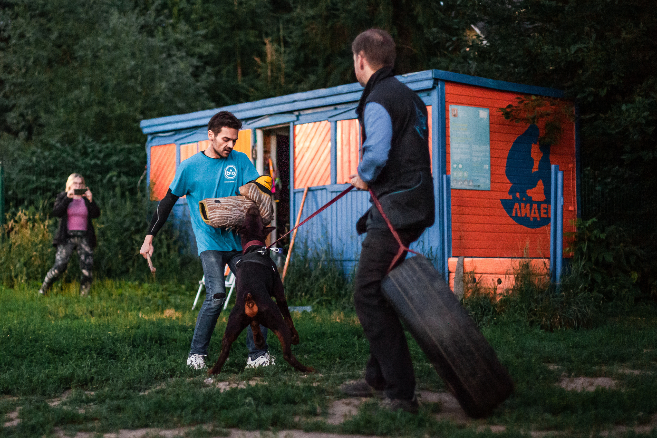 Занятие ЗКС+Выборка 2022. Фотограф-анималист Татьяна Степанова