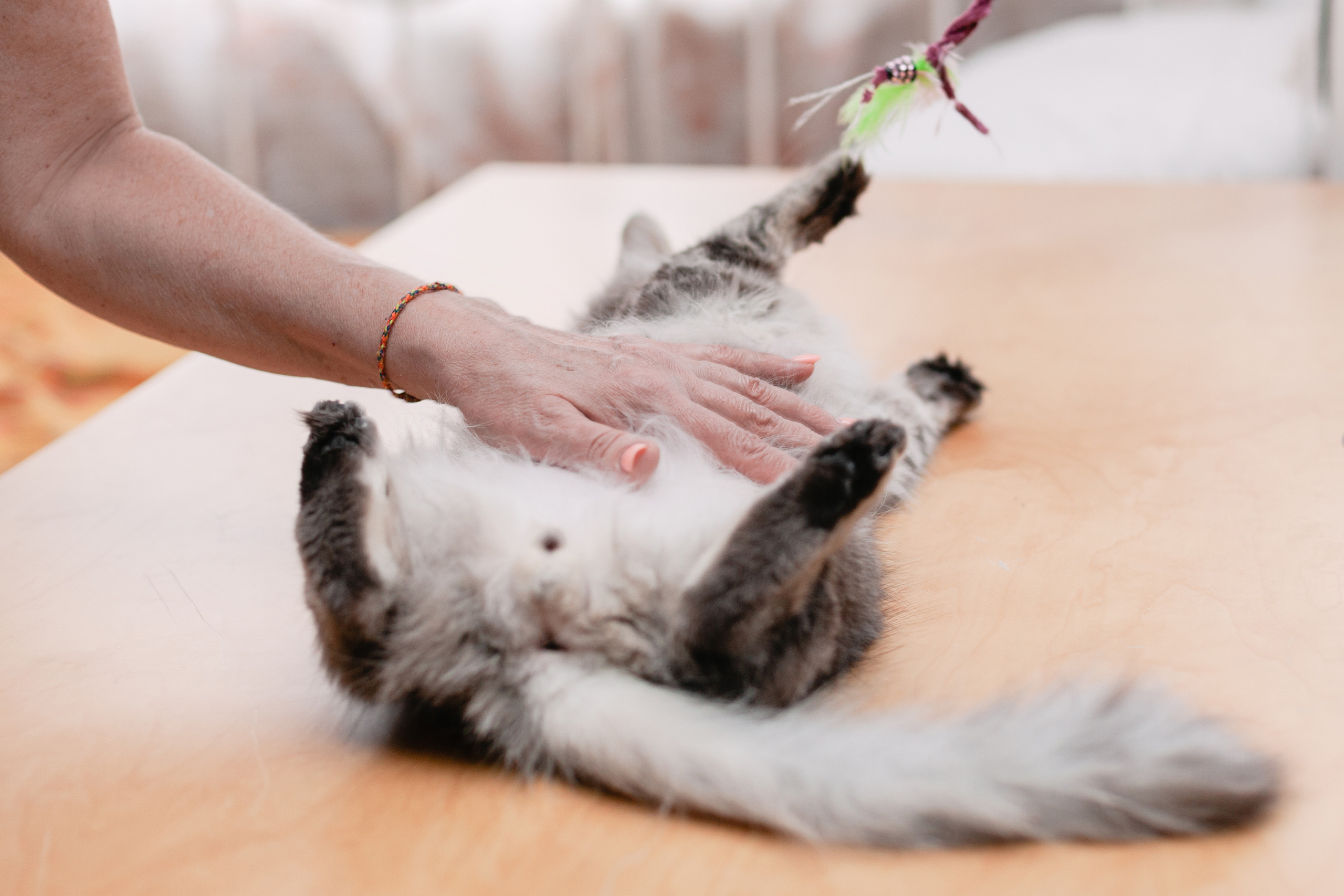 Космос 2023. Фотограф-анималист Татьяна Степанова