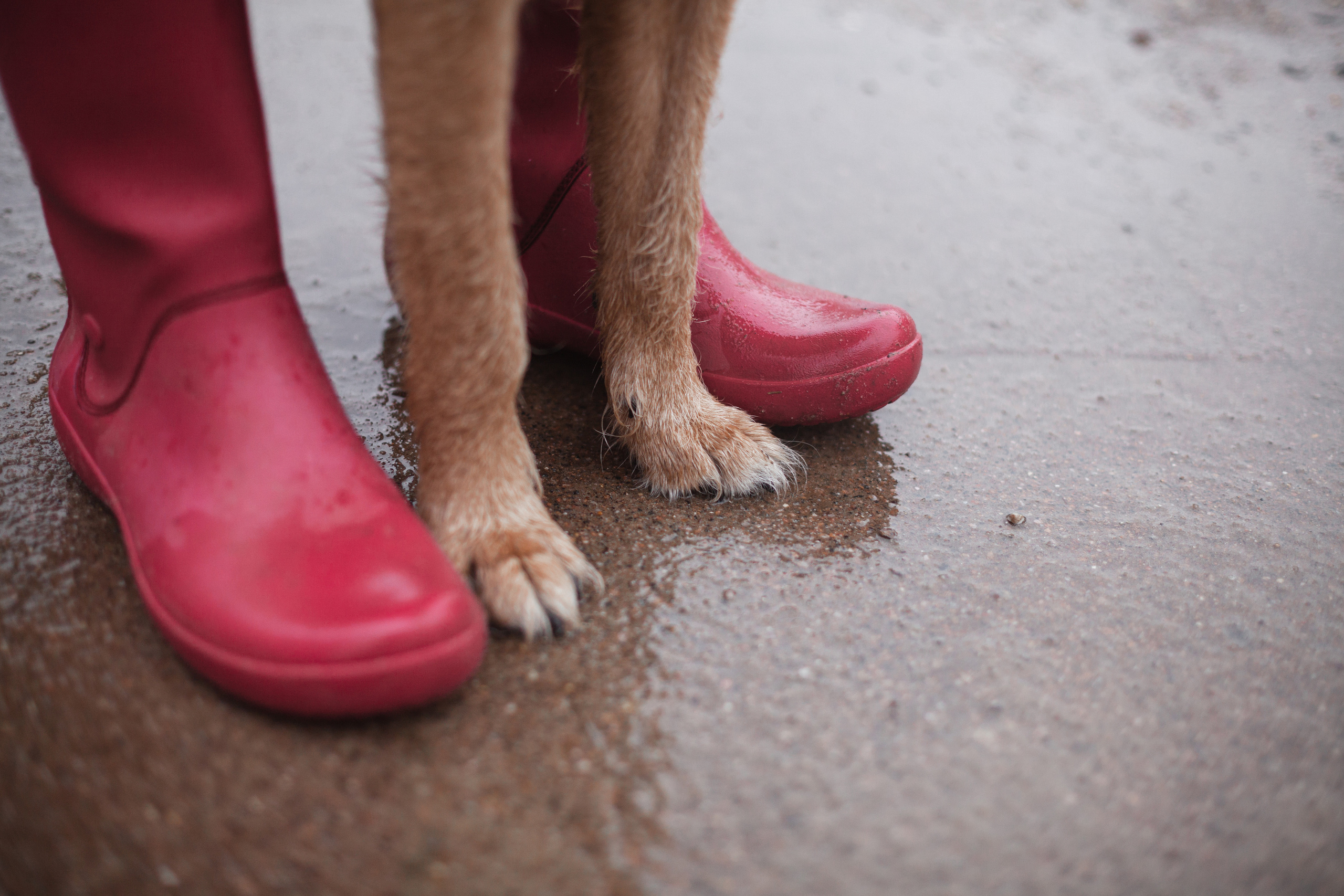 Лиза и Бренда. Фотограф-анималист Татьяна Степанова