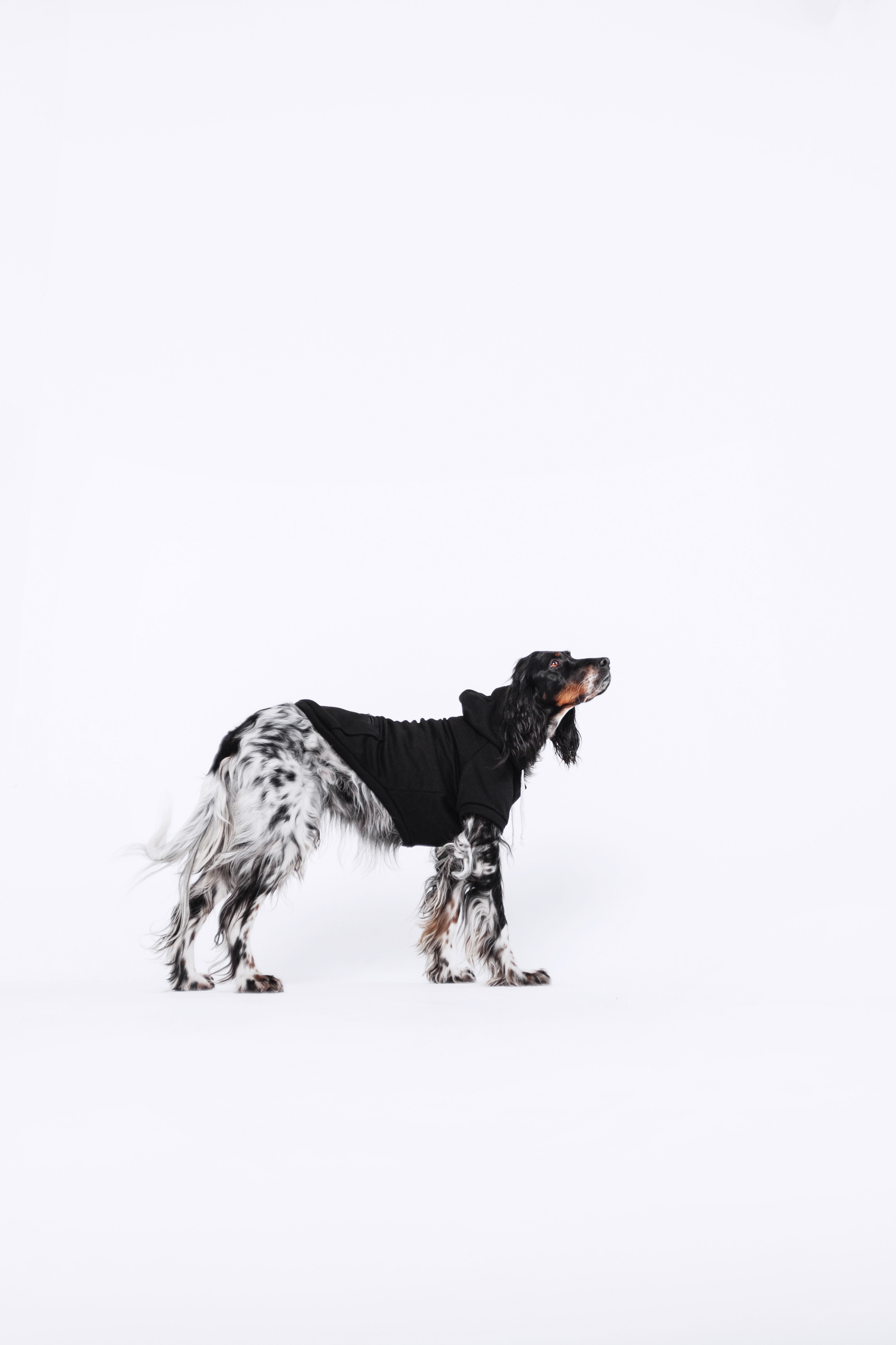 Света и Богдана. Фотограф-анималист Татьяна Степанова