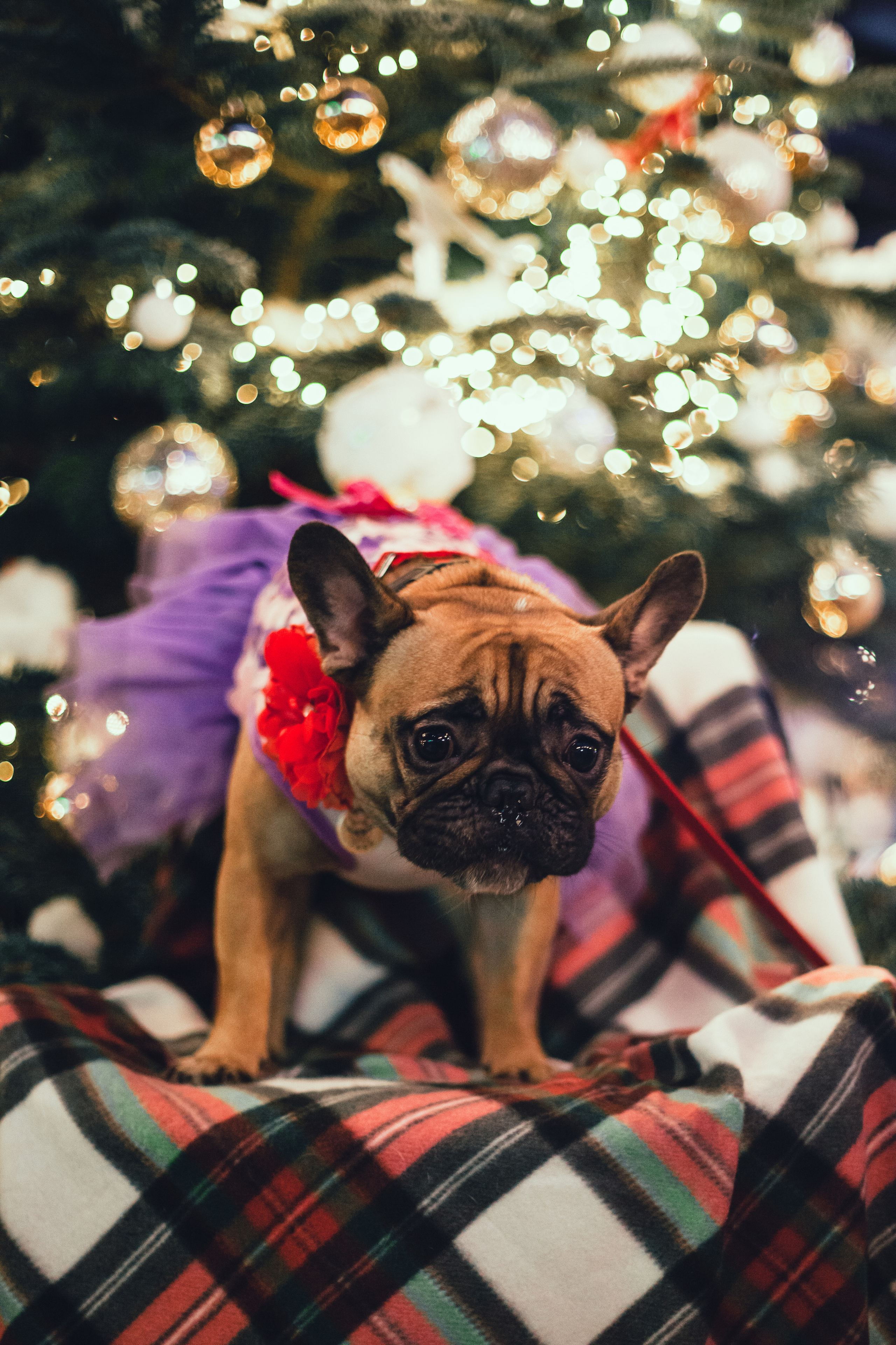 Бульелка 2022. Фотограф-анималист Татьяна Степанова