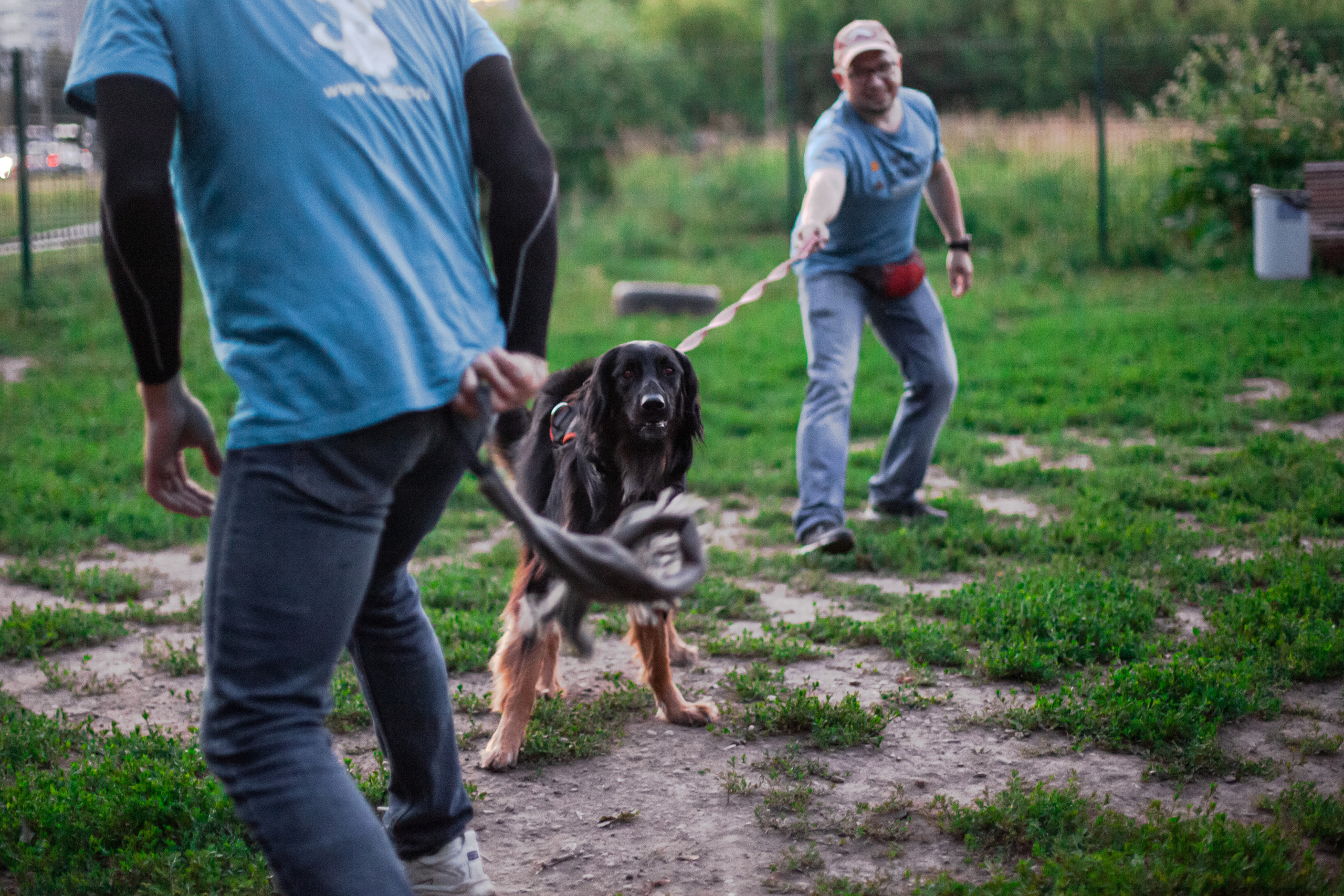 Занятие ЗКС+Выборка 2022. Фотограф-анималист Татьяна Степанова