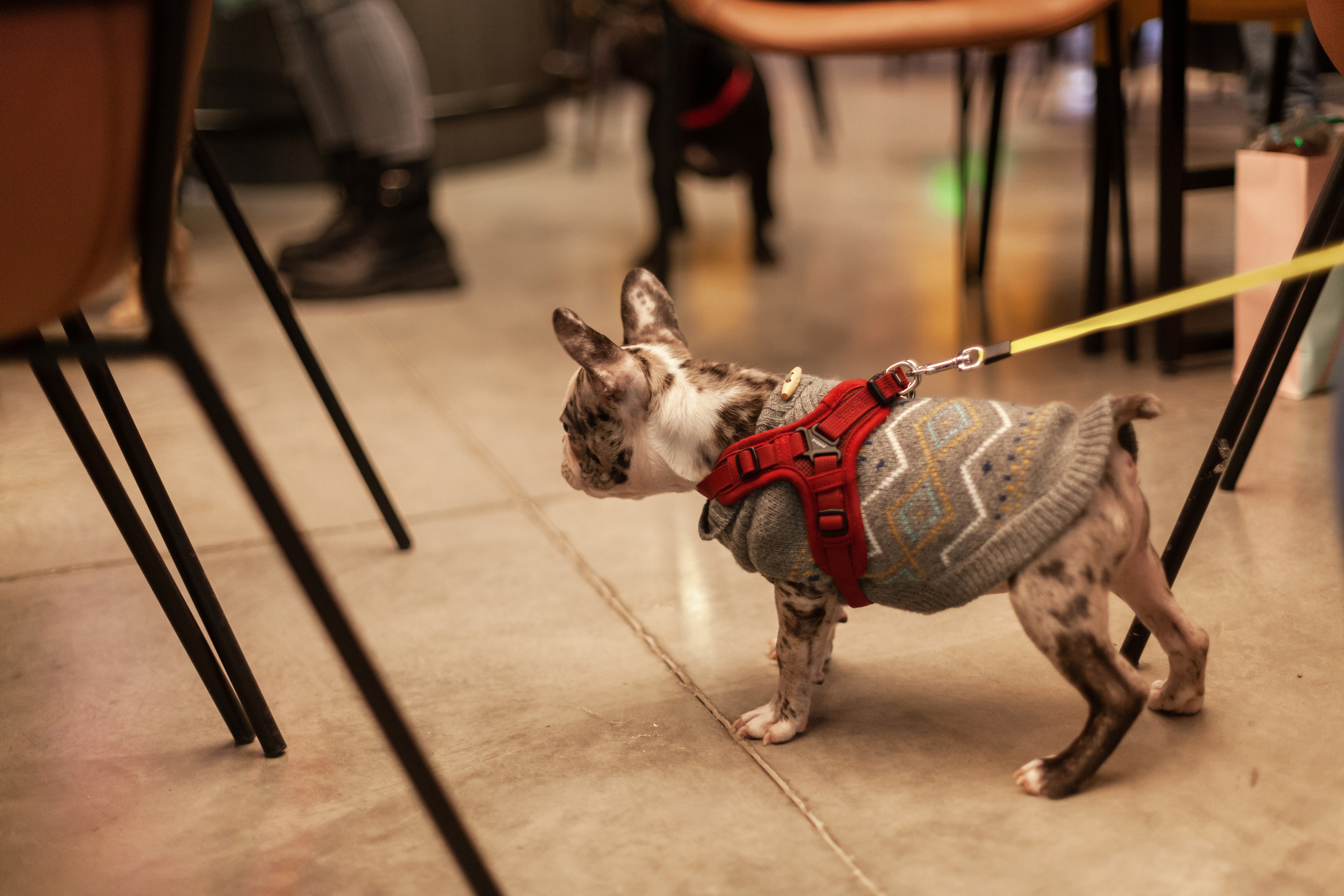 Бульелка 2022. Фотограф-анималист Татьяна Степанова