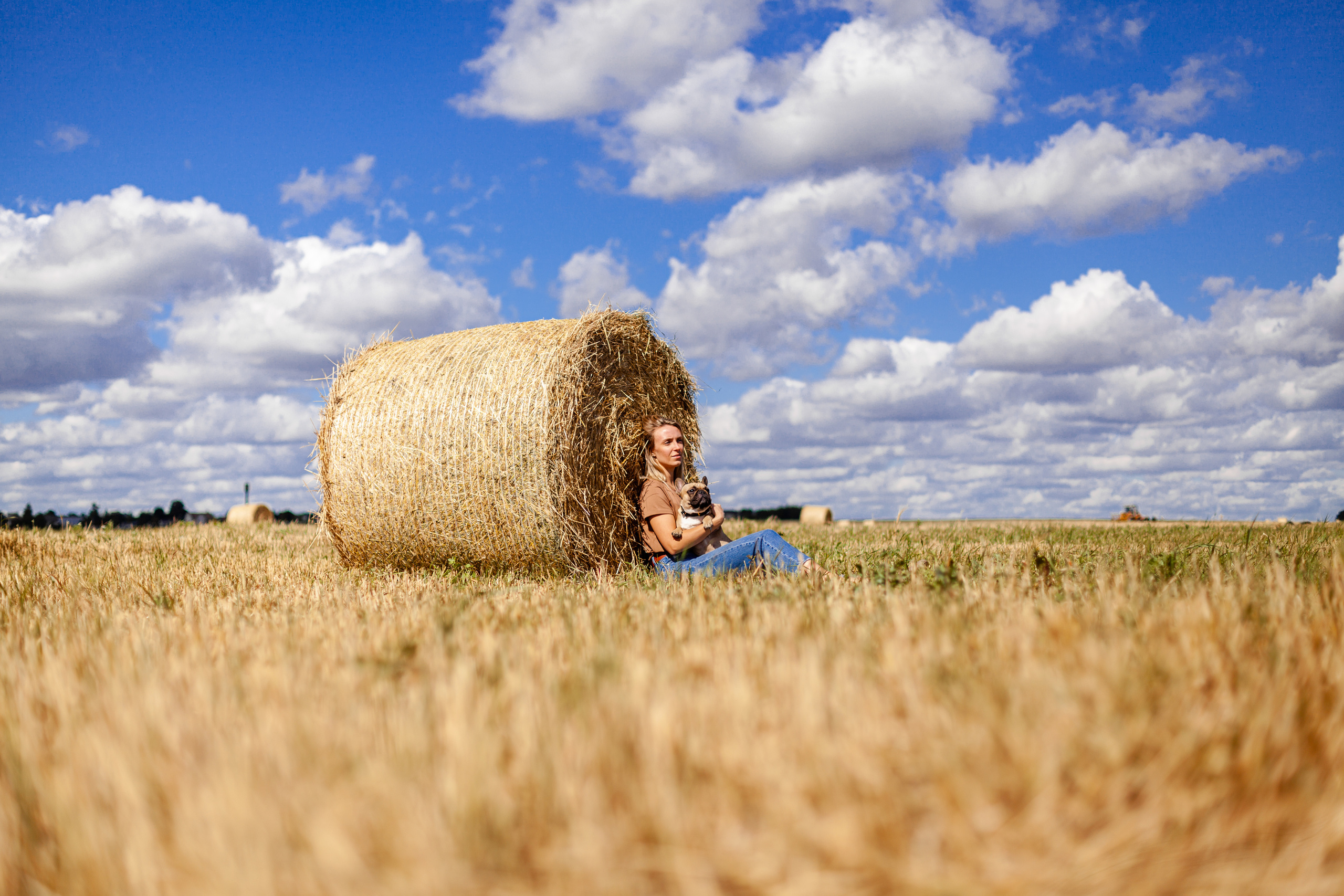 Коломна, стога и подсолнухи. Фотограф-анималист Татьяна Степанова