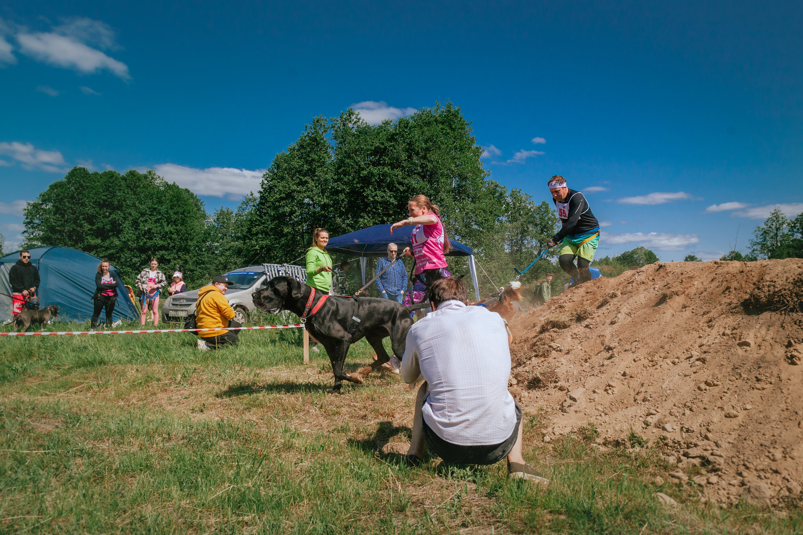 Хвостатый Драйв 11.06.2023. Фотограф-анималист Татьяна Степанова