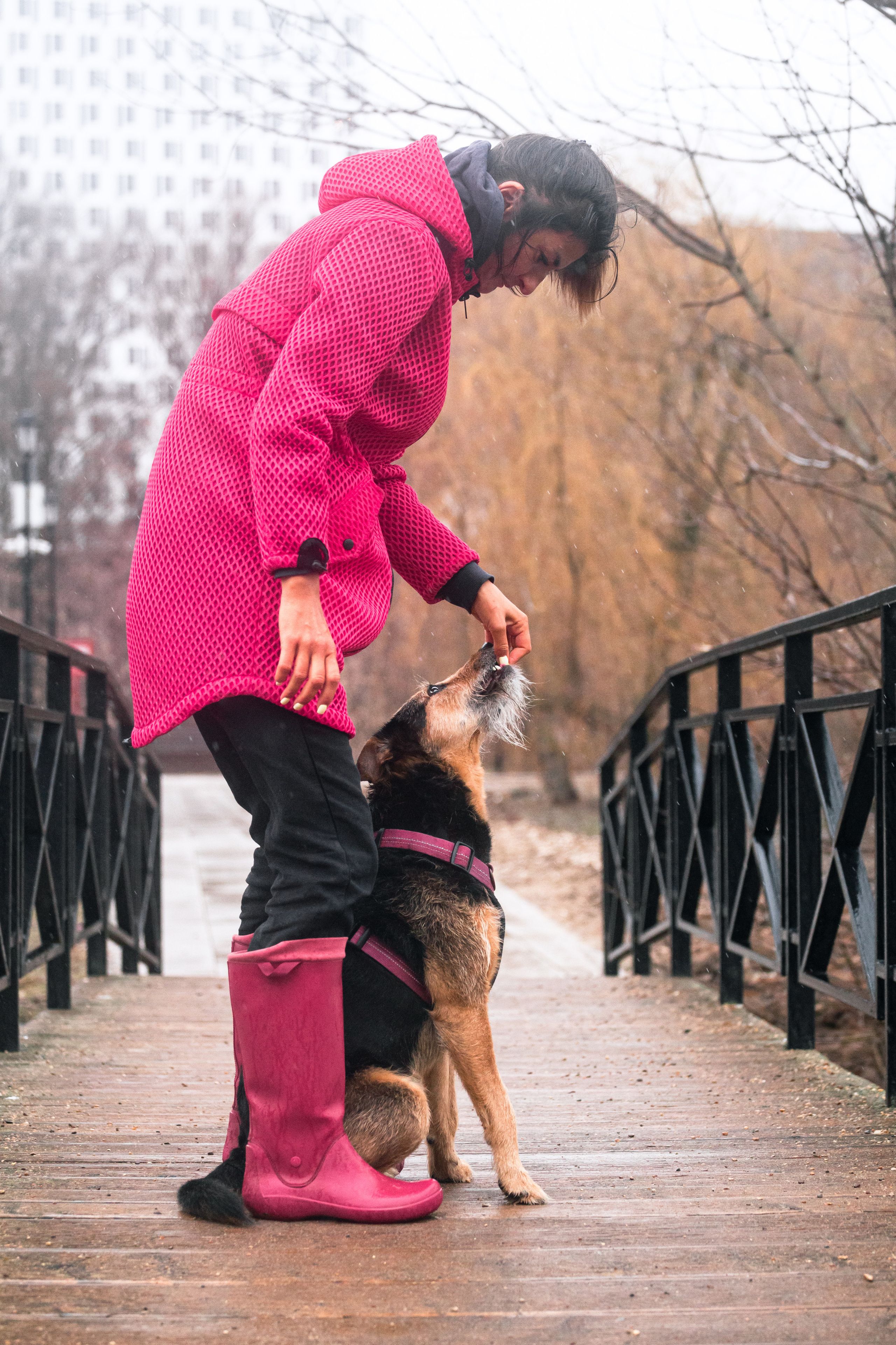 Лиза и Бренда. Фотограф-анималист Татьяна Степанова