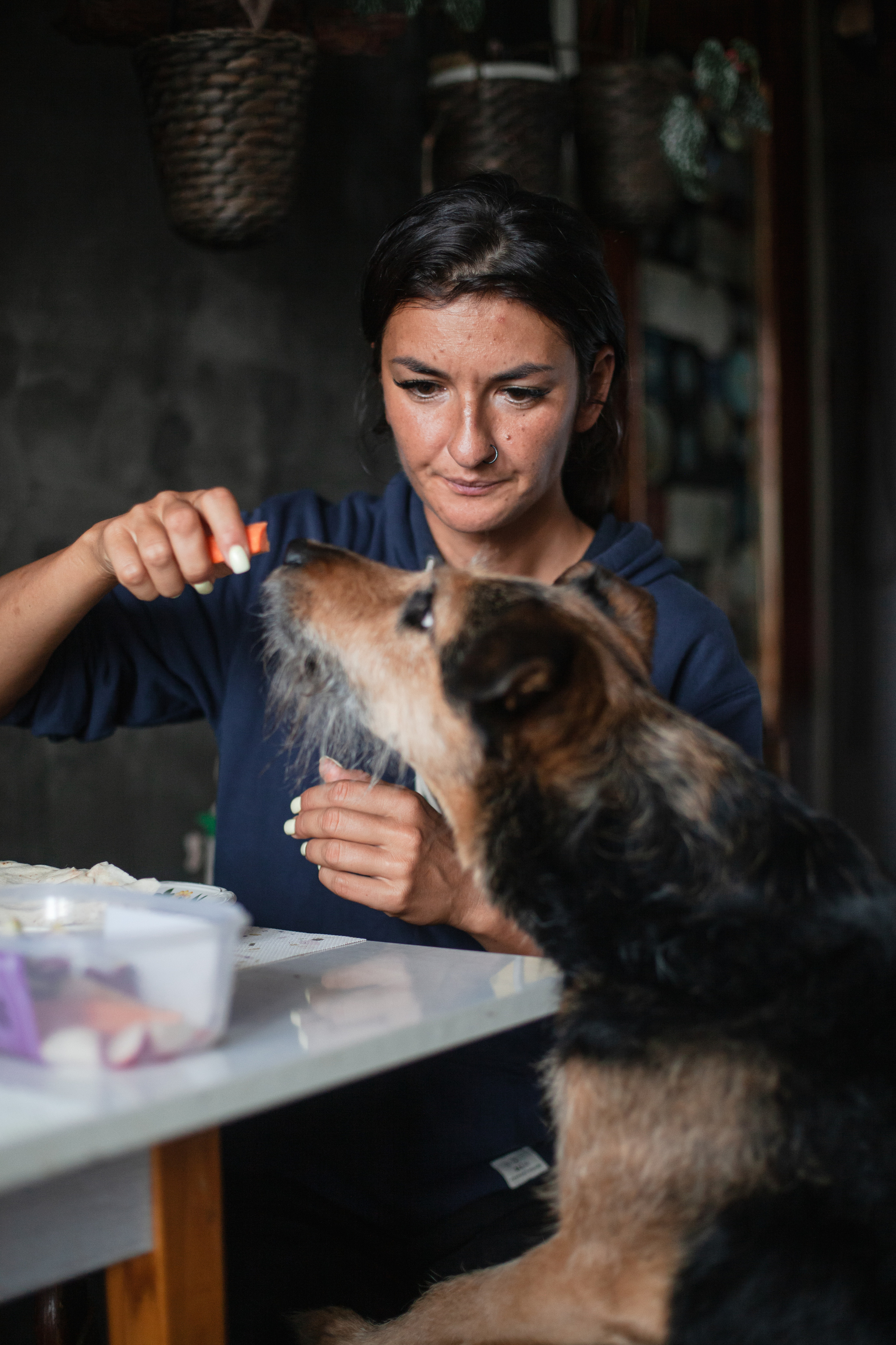 Лиза и Бренда. Фотограф-анималист Татьяна Степанова