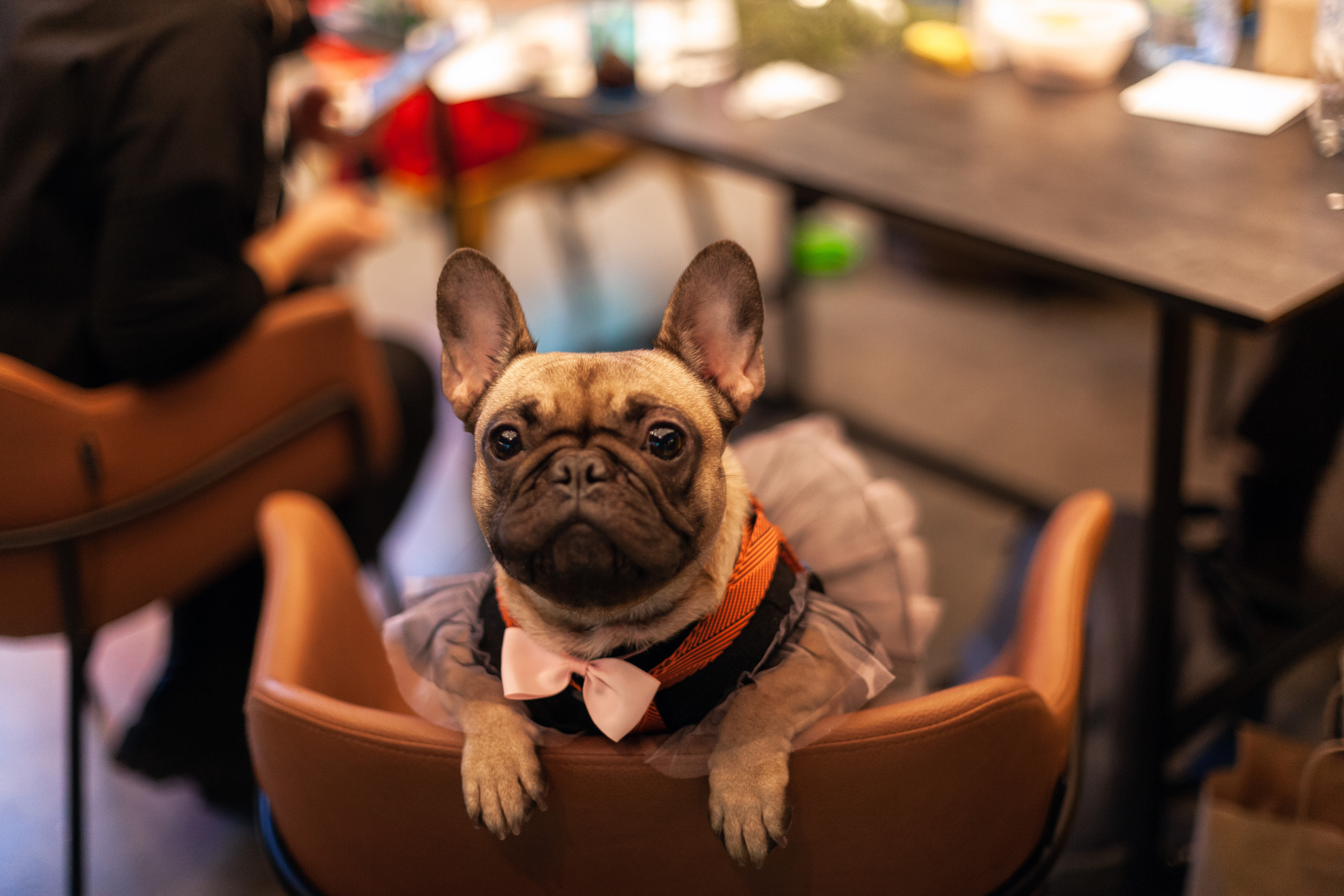 Бульелка 2022. Фотограф-анималист Татьяна Степанова