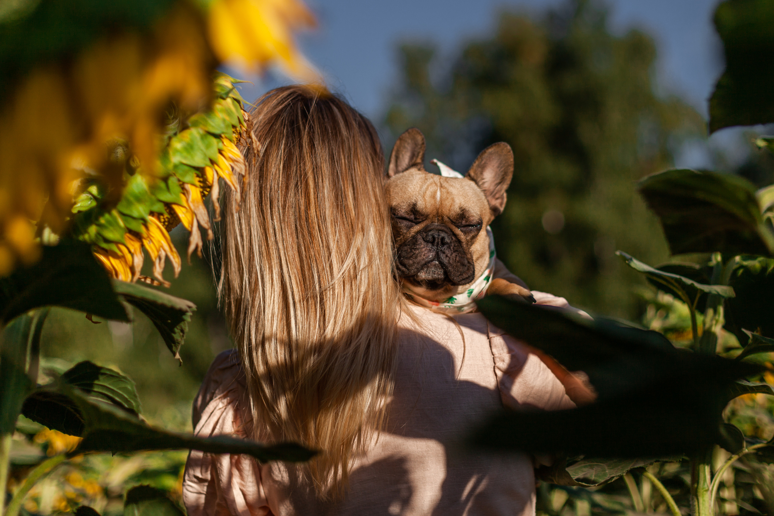 Коломна, стога и подсолнухи. Фотограф-анималист Татьяна Степанова