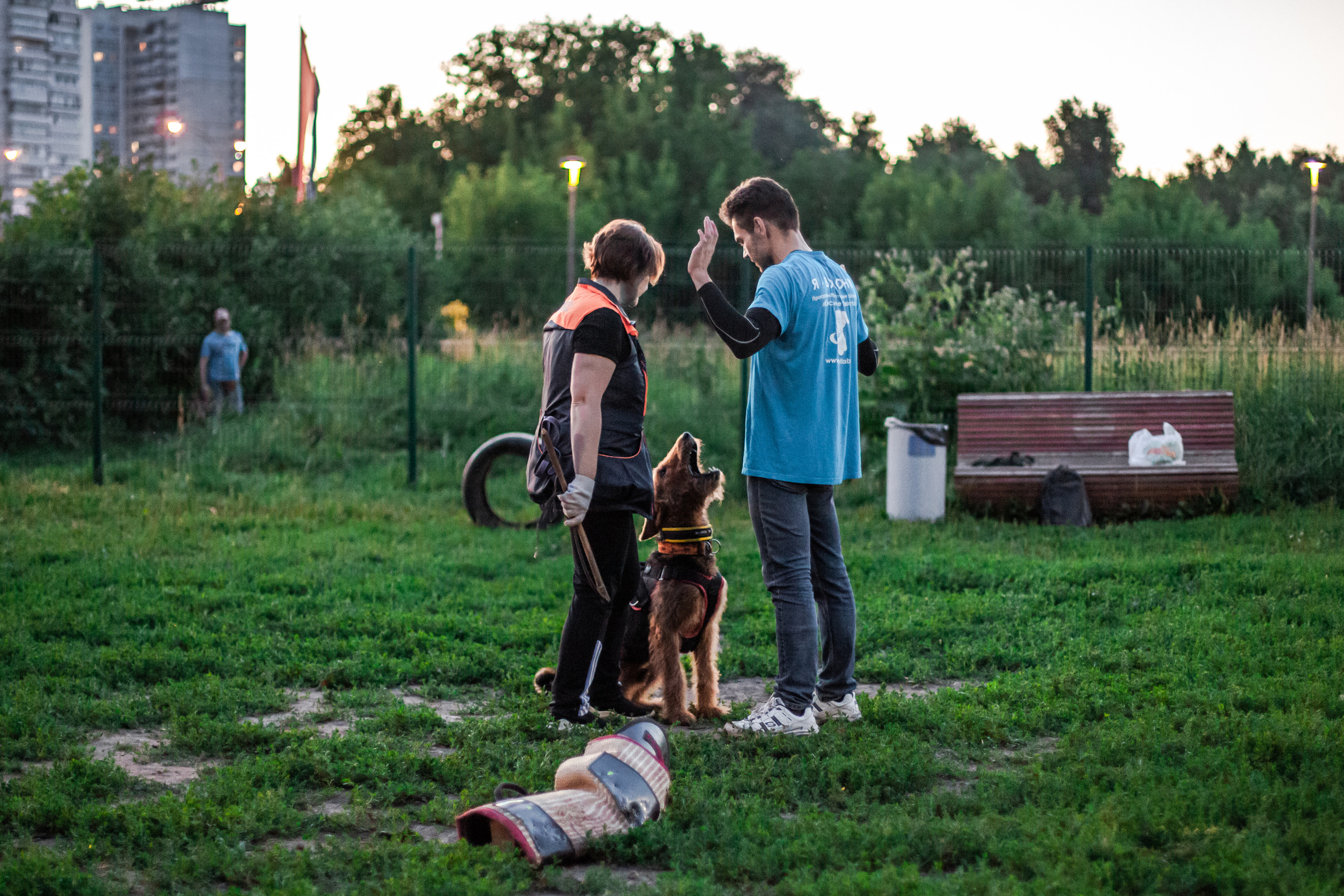 Занятие ЗКС+Выборка 2022. Фотограф-анималист Татьяна Степанова