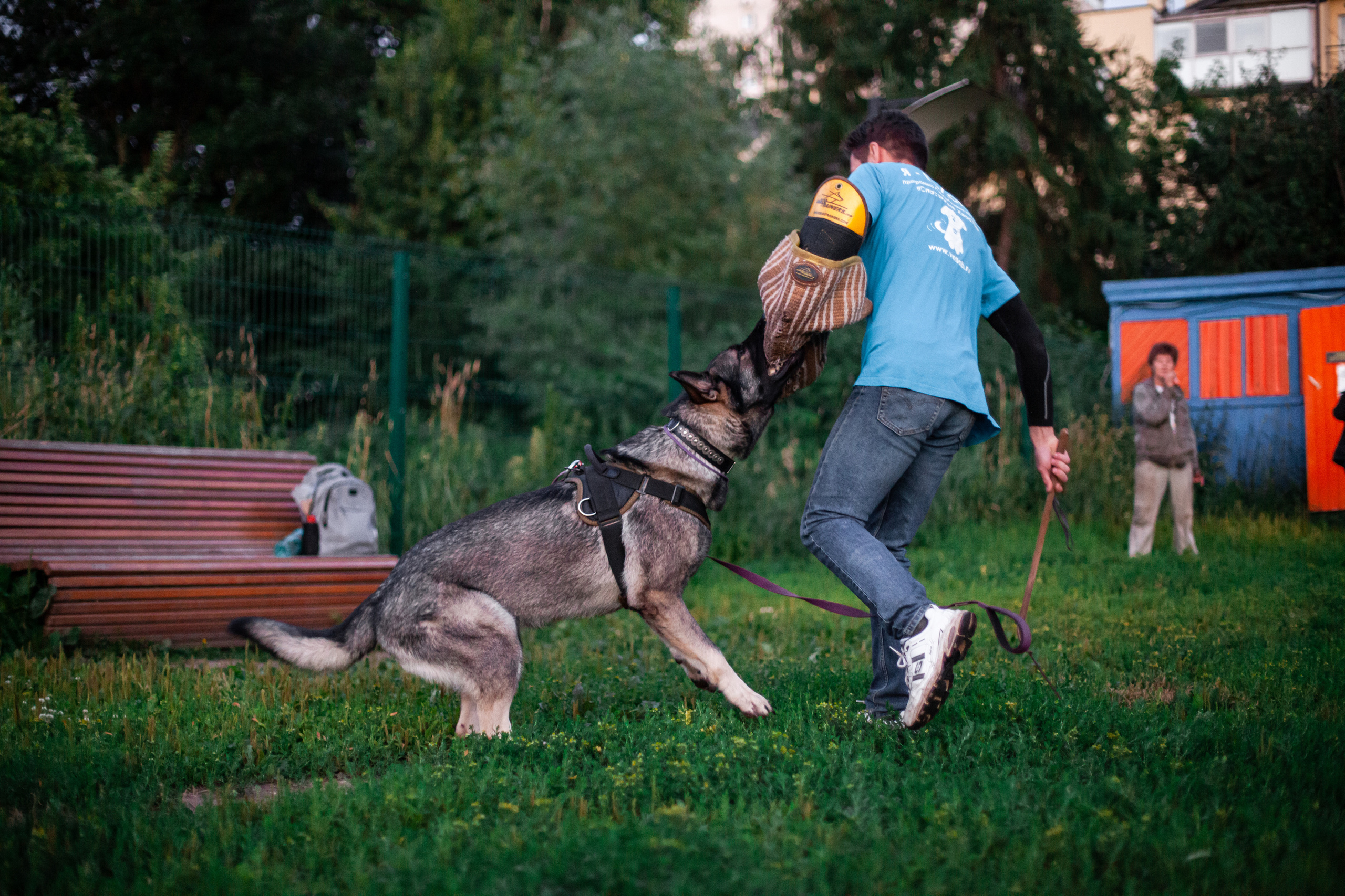 Занятие ЗКС+Выборка 2022. Фотограф-анималист Татьяна Степанова