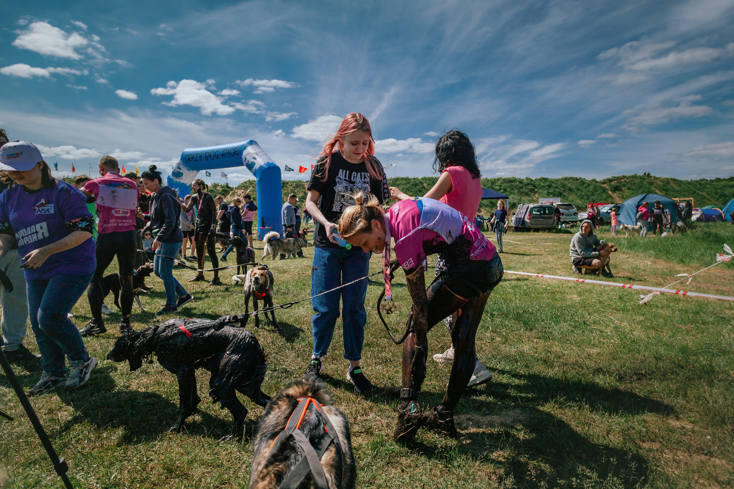 Хвостатый Драйв 11.06.2023. Фотограф-анималист Татьяна Степанова
