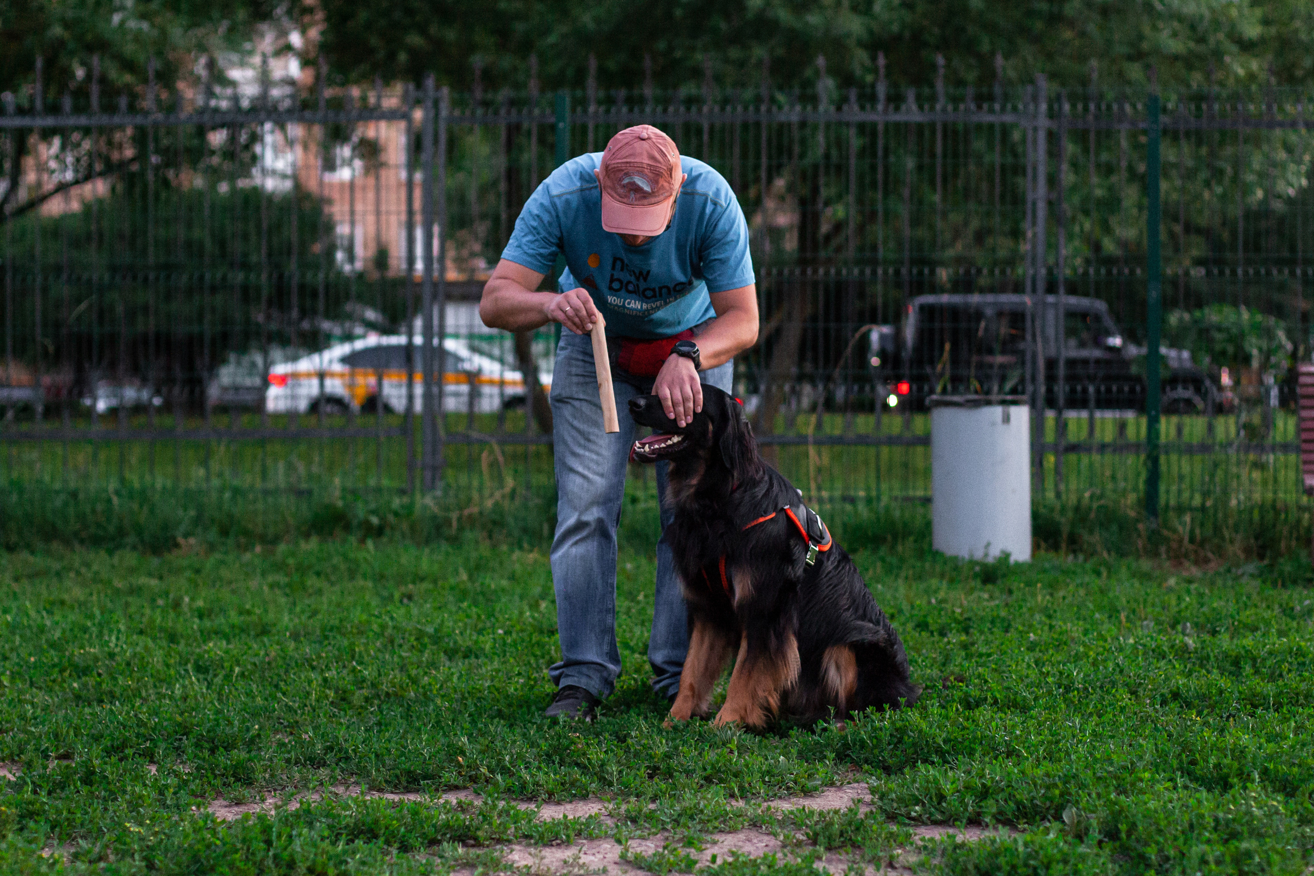 Занятие ЗКС+Выборка 2022. Фотограф-анималист Татьяна Степанова