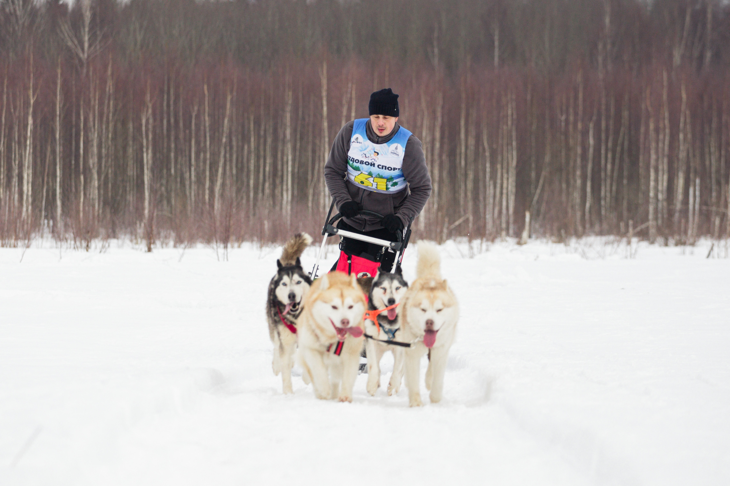 Холодные игры 28 февраля 2022. Фотограф-анималист Татьяна Степанова