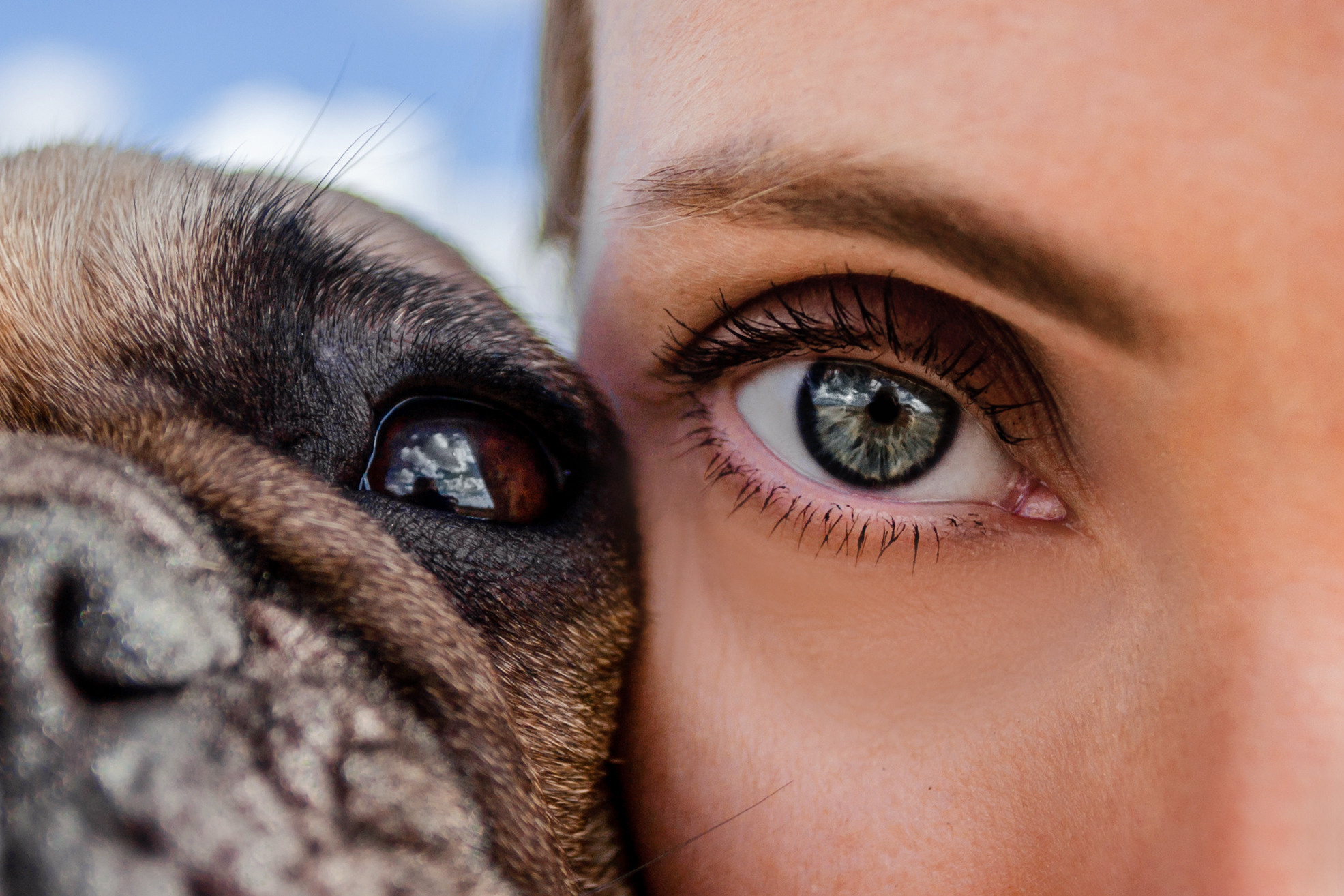 Коломна, стога и подсолнухи. Фотограф-анималист Татьяна Степанова