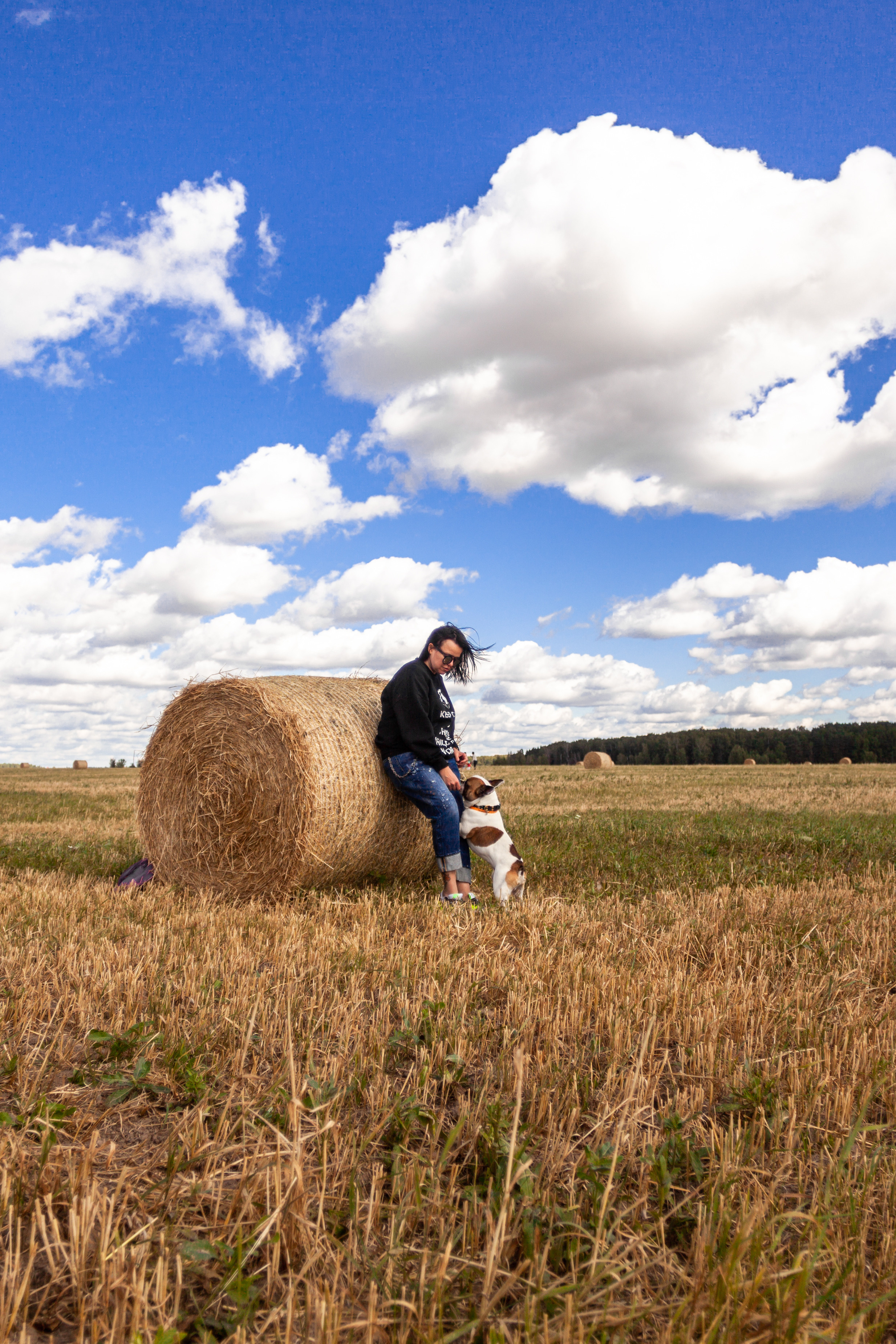Коломна, стога и подсолнухи. Фотограф-анималист Татьяна Степанова