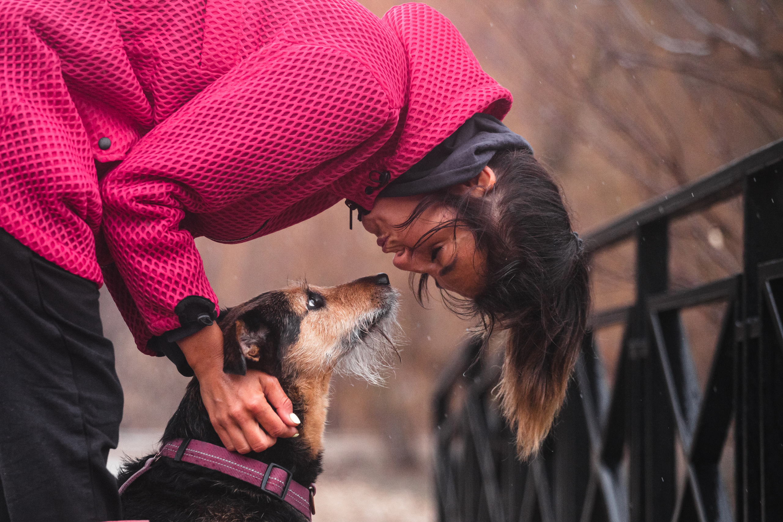 Лиза и Бренда. Фотограф-анималист Татьяна Степанова