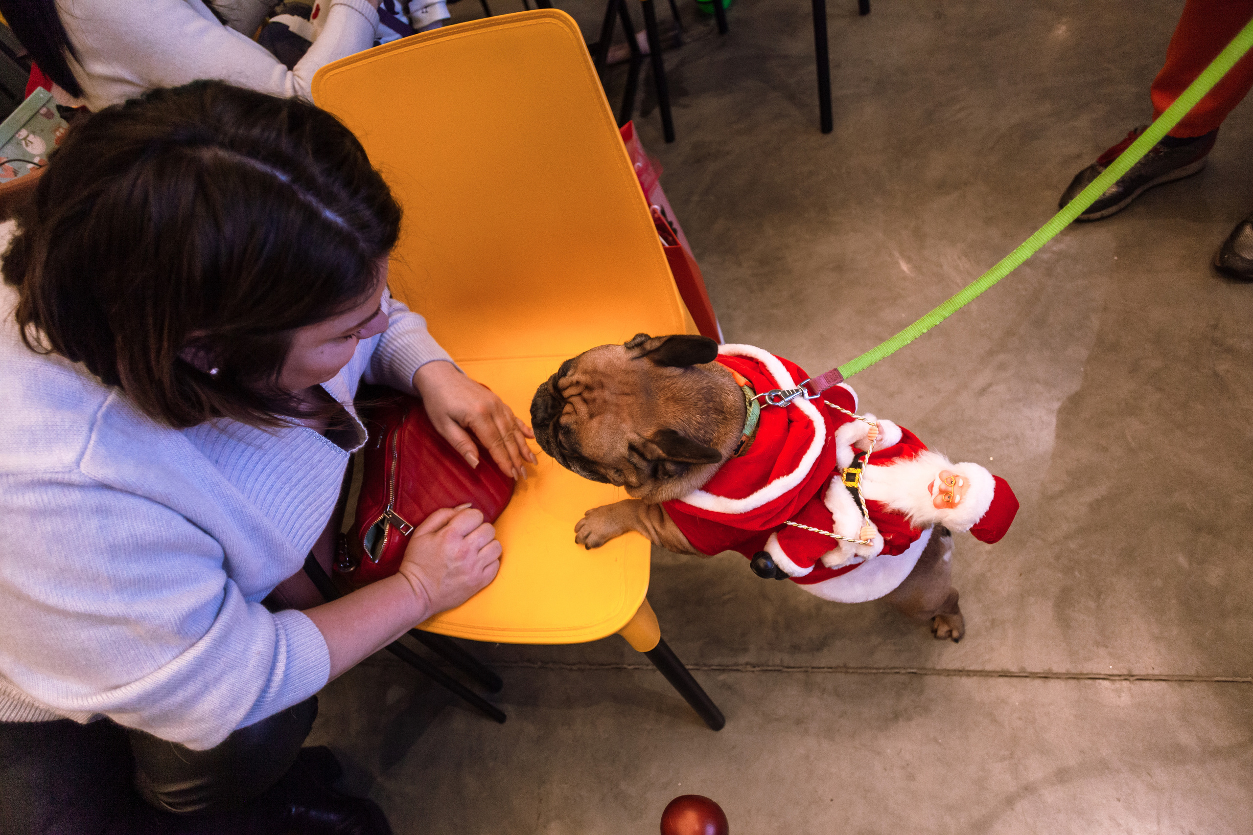 Бульелка 2022. Фотограф-анималист Татьяна Степанова