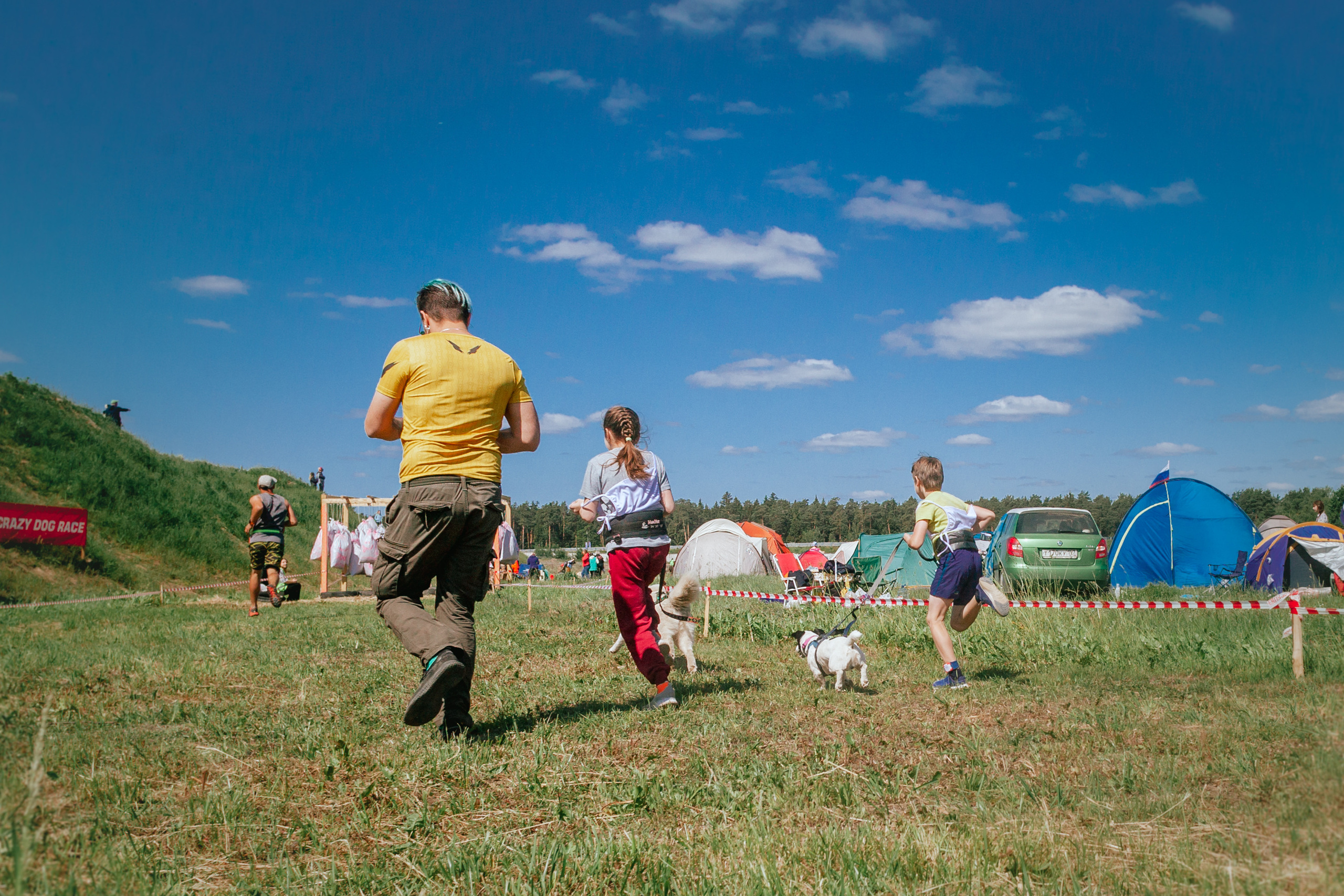 Хвостатый Драйв 11.06.2023. Фотограф-анималист Татьяна Степанова