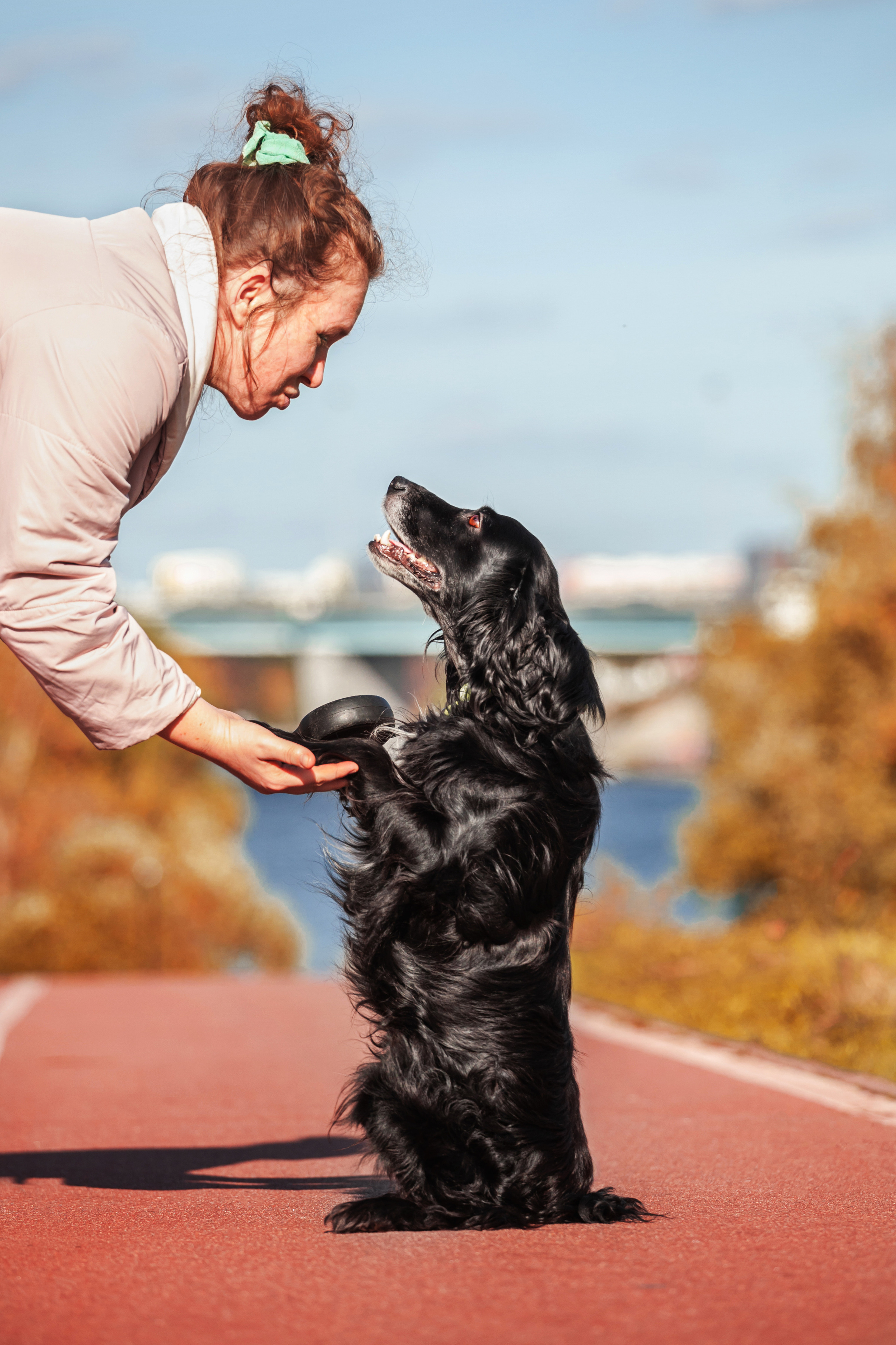 Барон и Лара 2022. Фотограф-анималист Татьяна Степанова