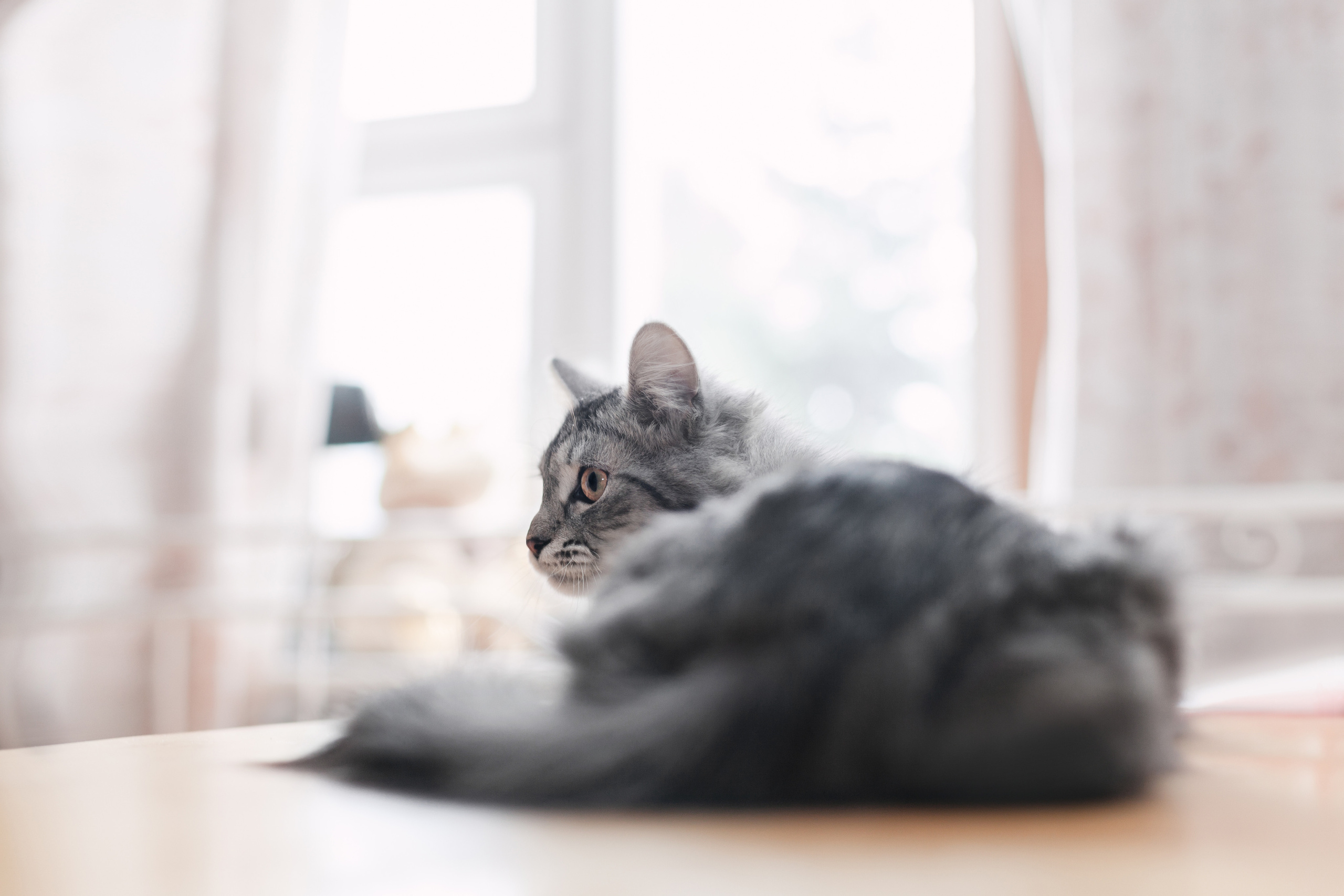 Космос 2023. Фотограф-анималист Татьяна Степанова