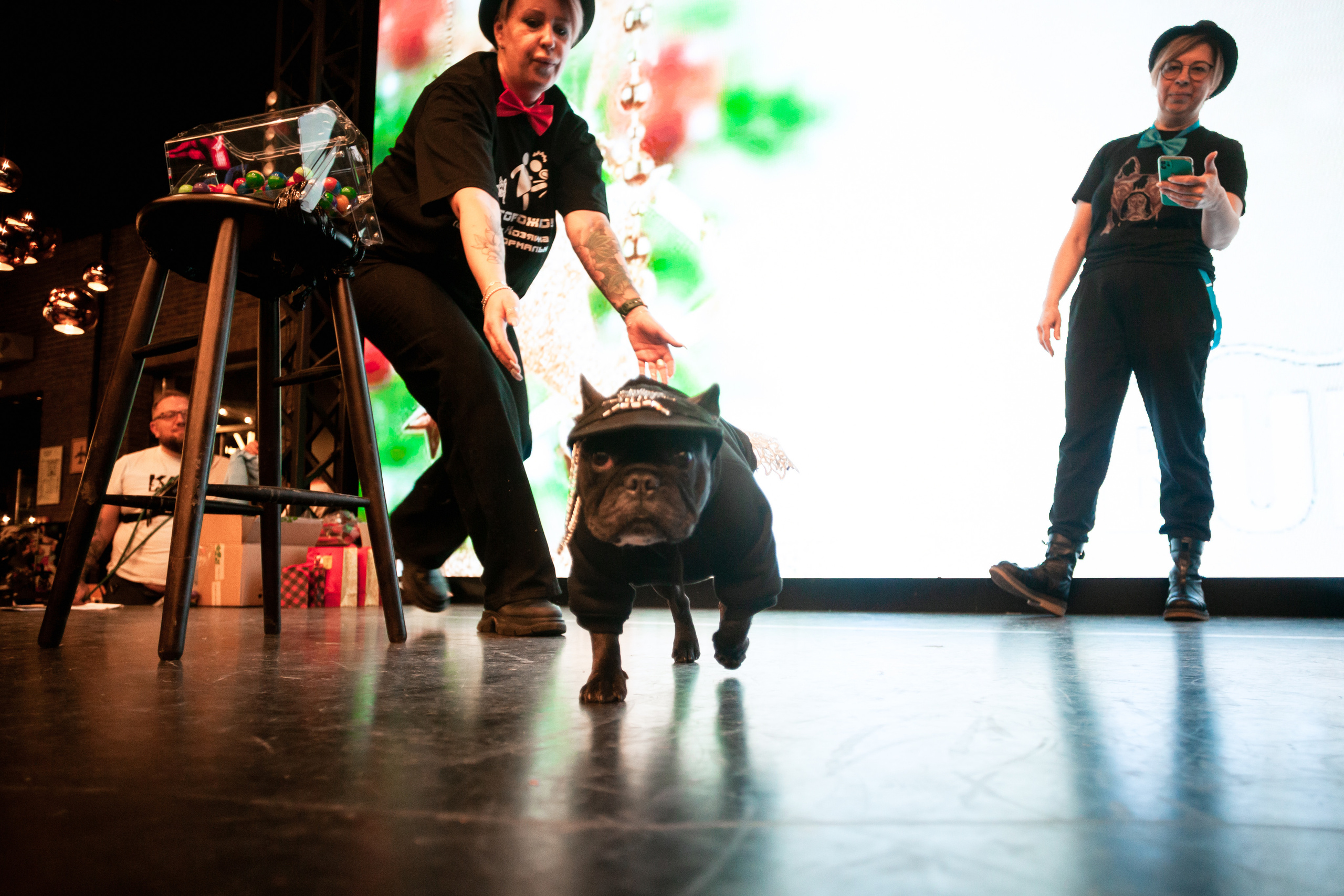 Бульелка 2022. Фотограф-анималист Татьяна Степанова