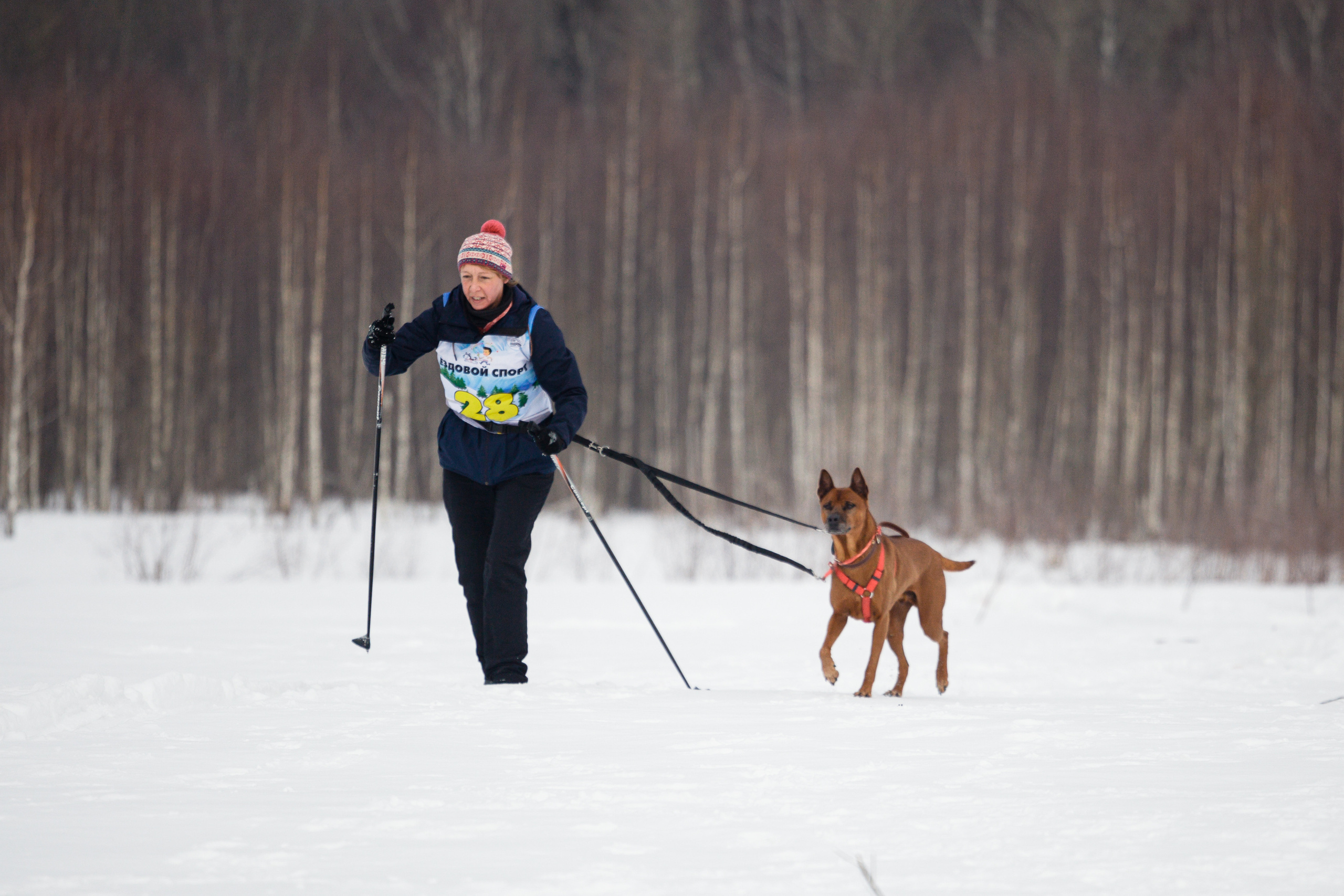 Холодные игры 28 февраля 2022. Фотограф-анималист Татьяна Степанова