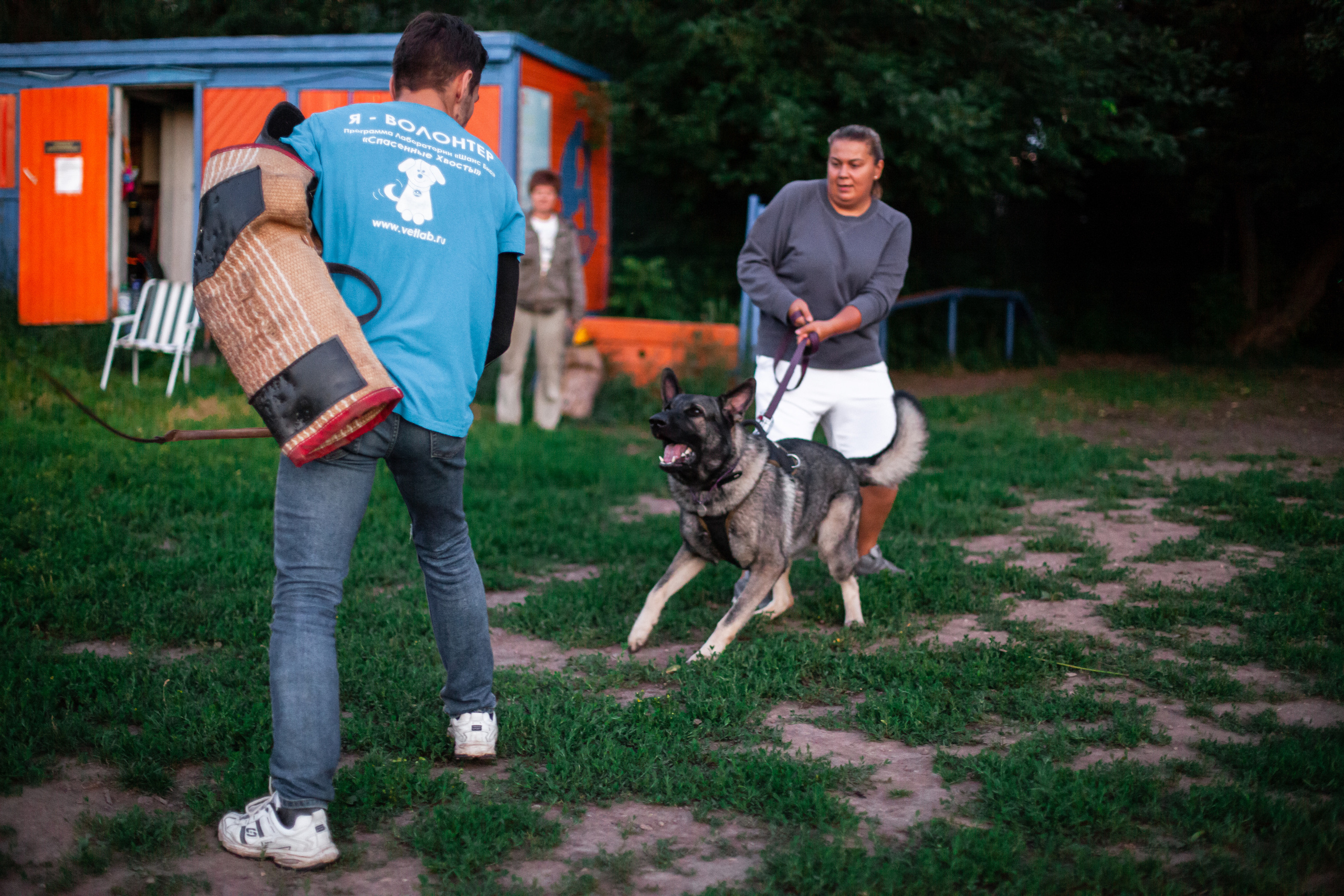 Занятие ЗКС+Выборка 2022. Фотограф-анималист Татьяна Степанова