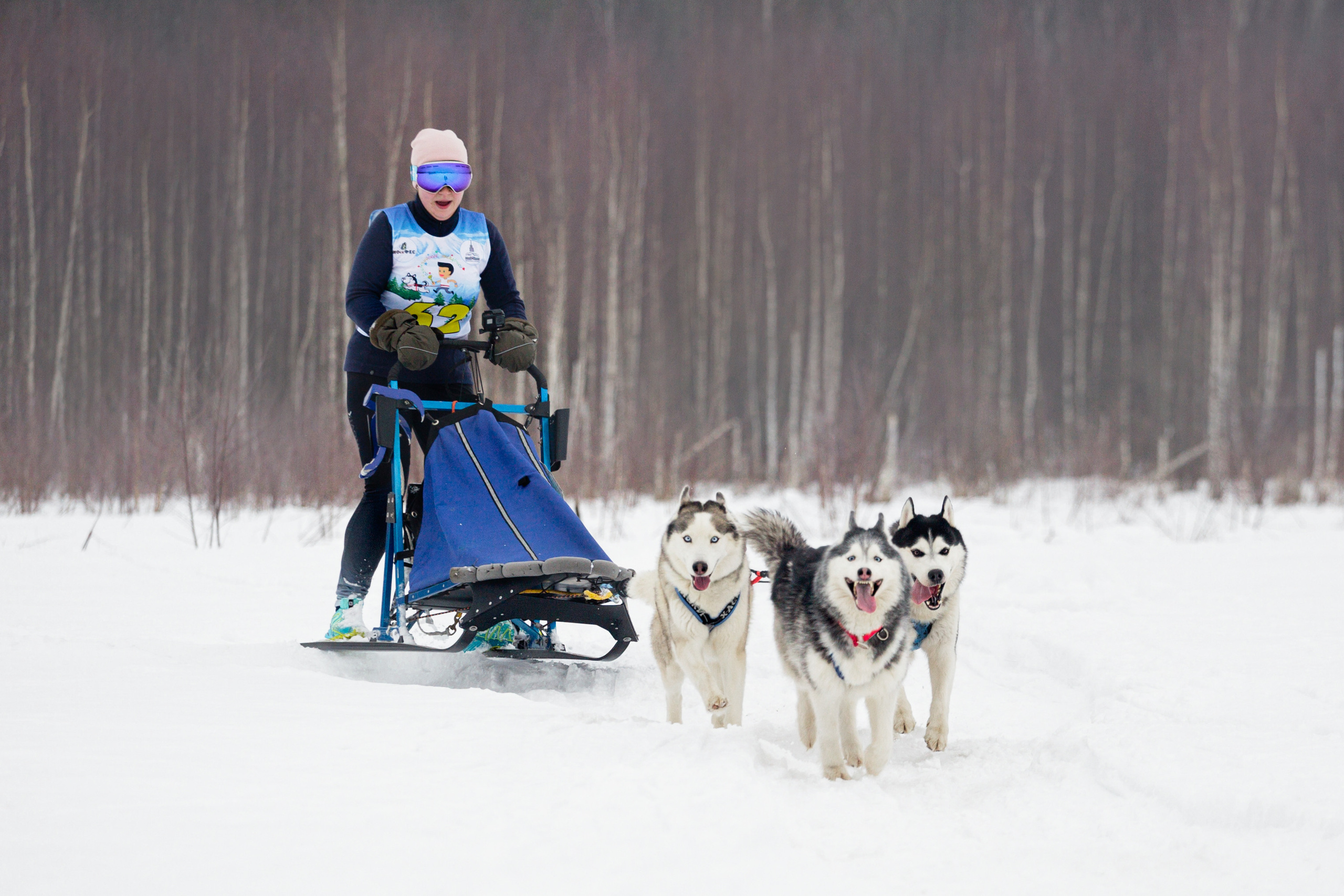 Холодные игры 28 февраля 2022. Фотограф-анималист Татьяна Степанова