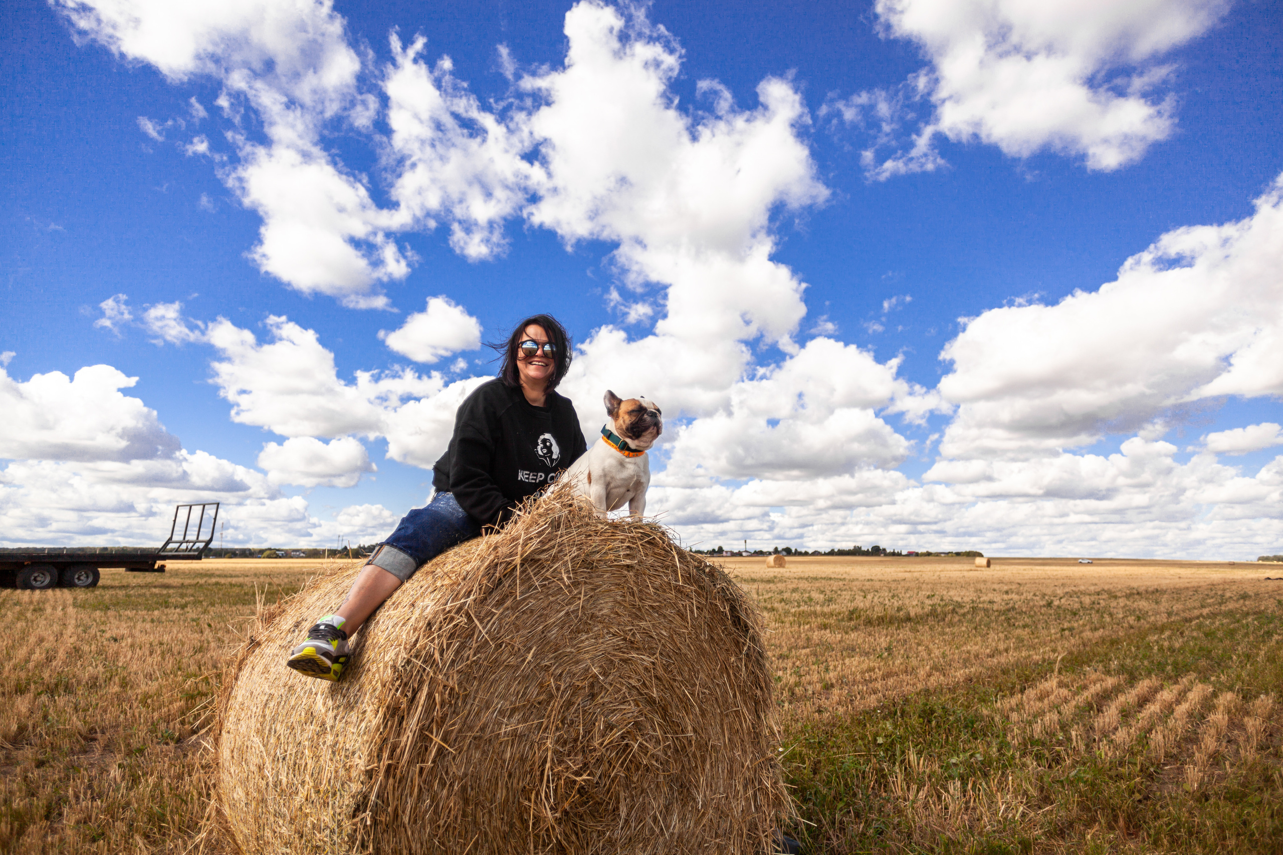 Коломна, стога и подсолнухи. Фотограф-анималист Татьяна Степанова