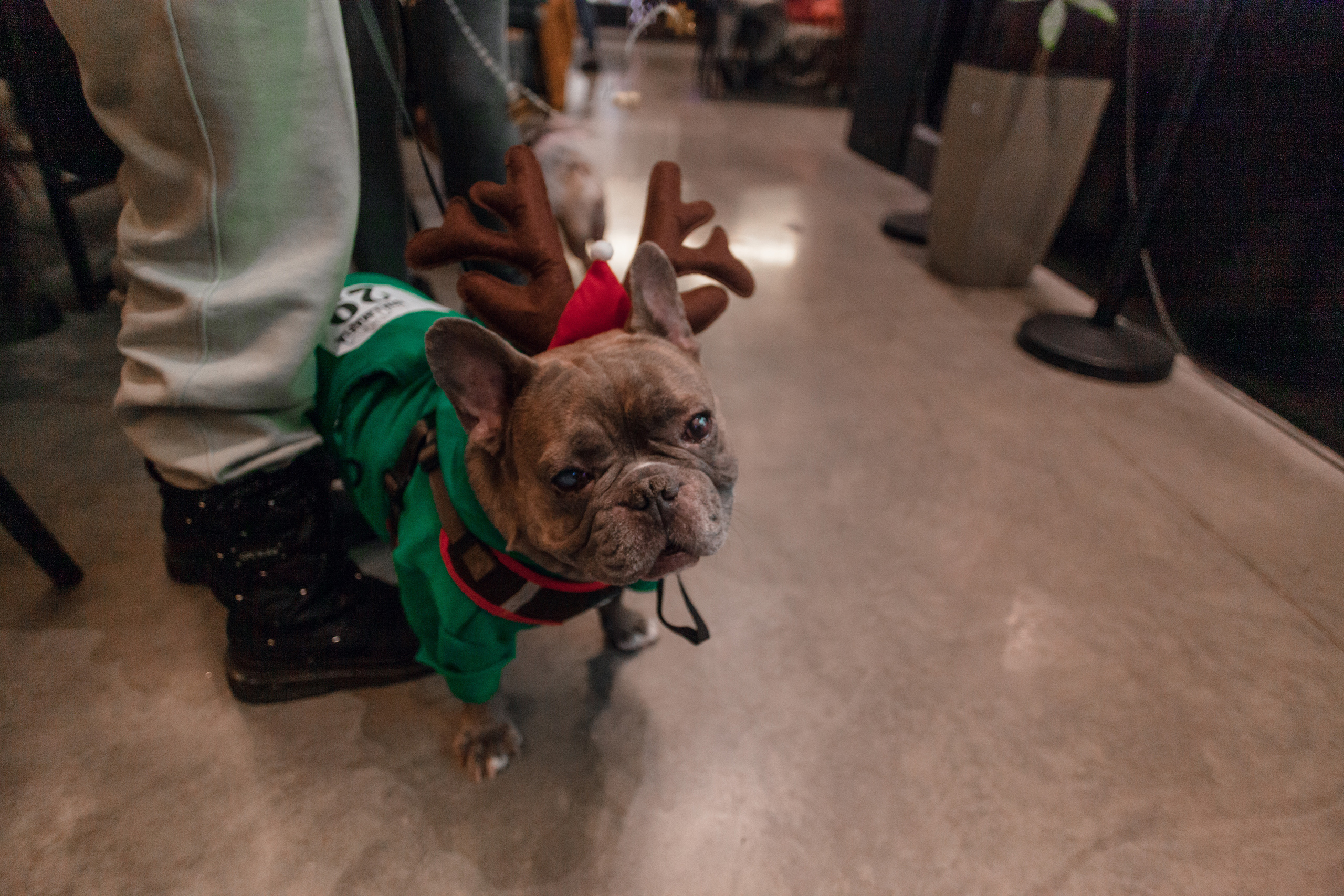 Бульелка 2022. Фотограф-анималист Татьяна Степанова