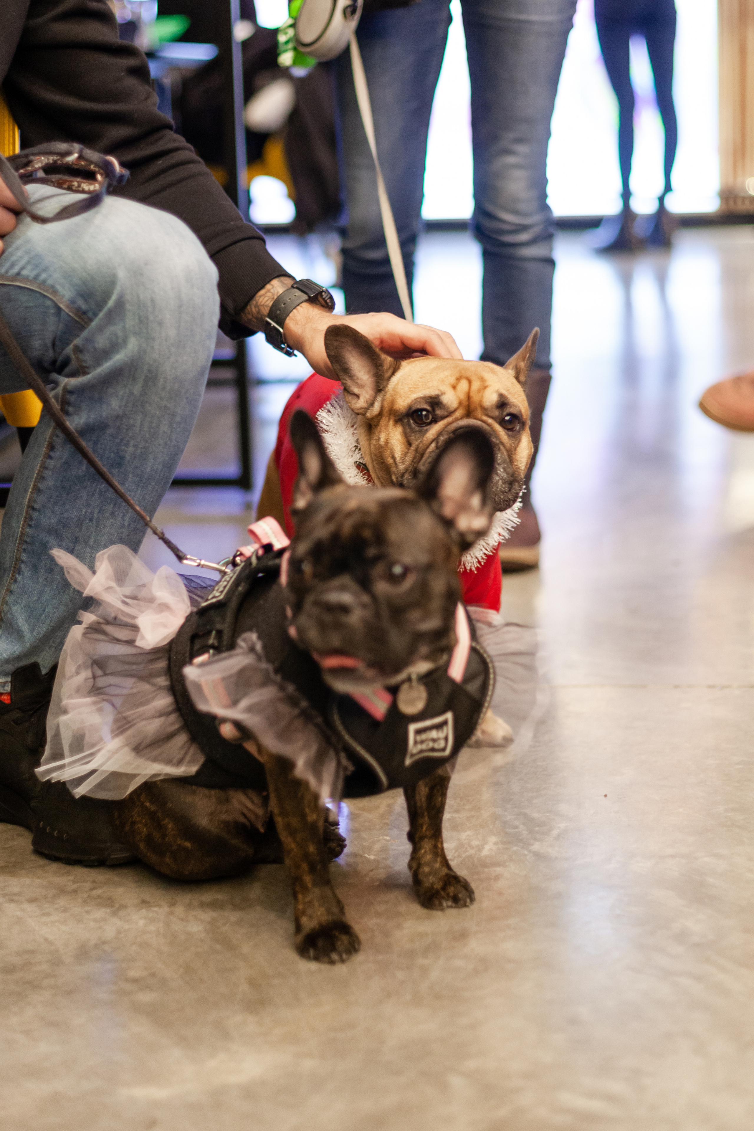 Бульелка 2022. Фотограф-анималист Татьяна Степанова