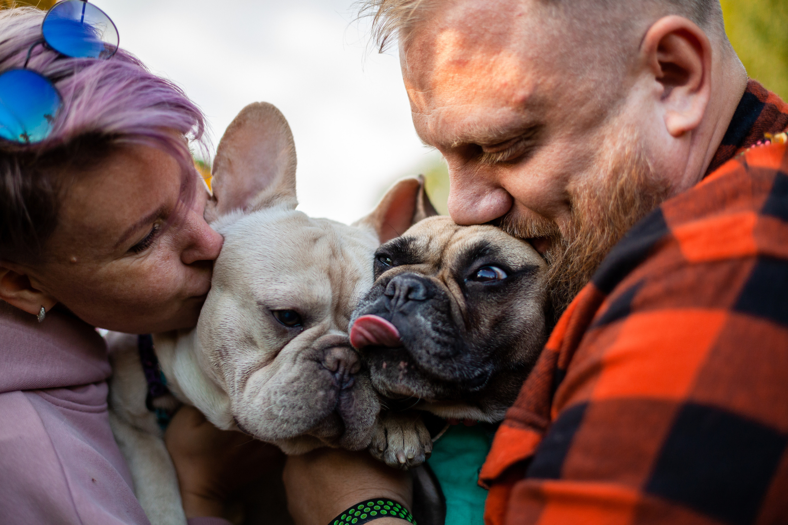 Коломна, стога и подсолнухи. Фотограф-анималист Татьяна Степанова