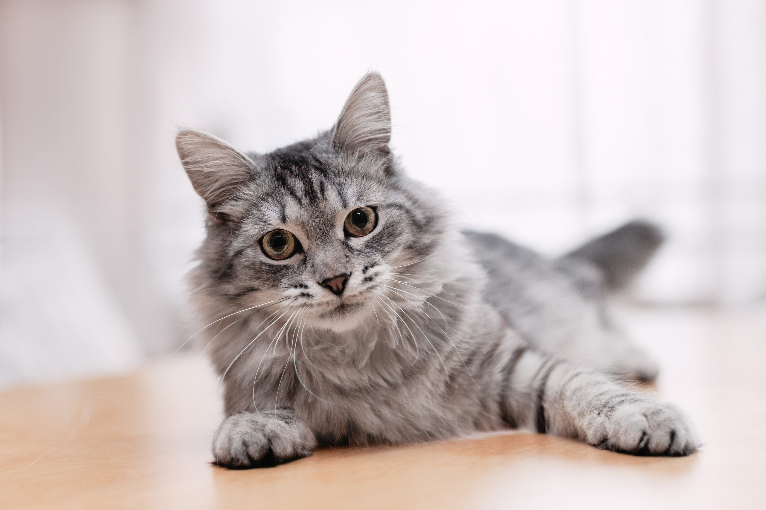 Космос 2023. Фотограф-анималист Татьяна Степанова