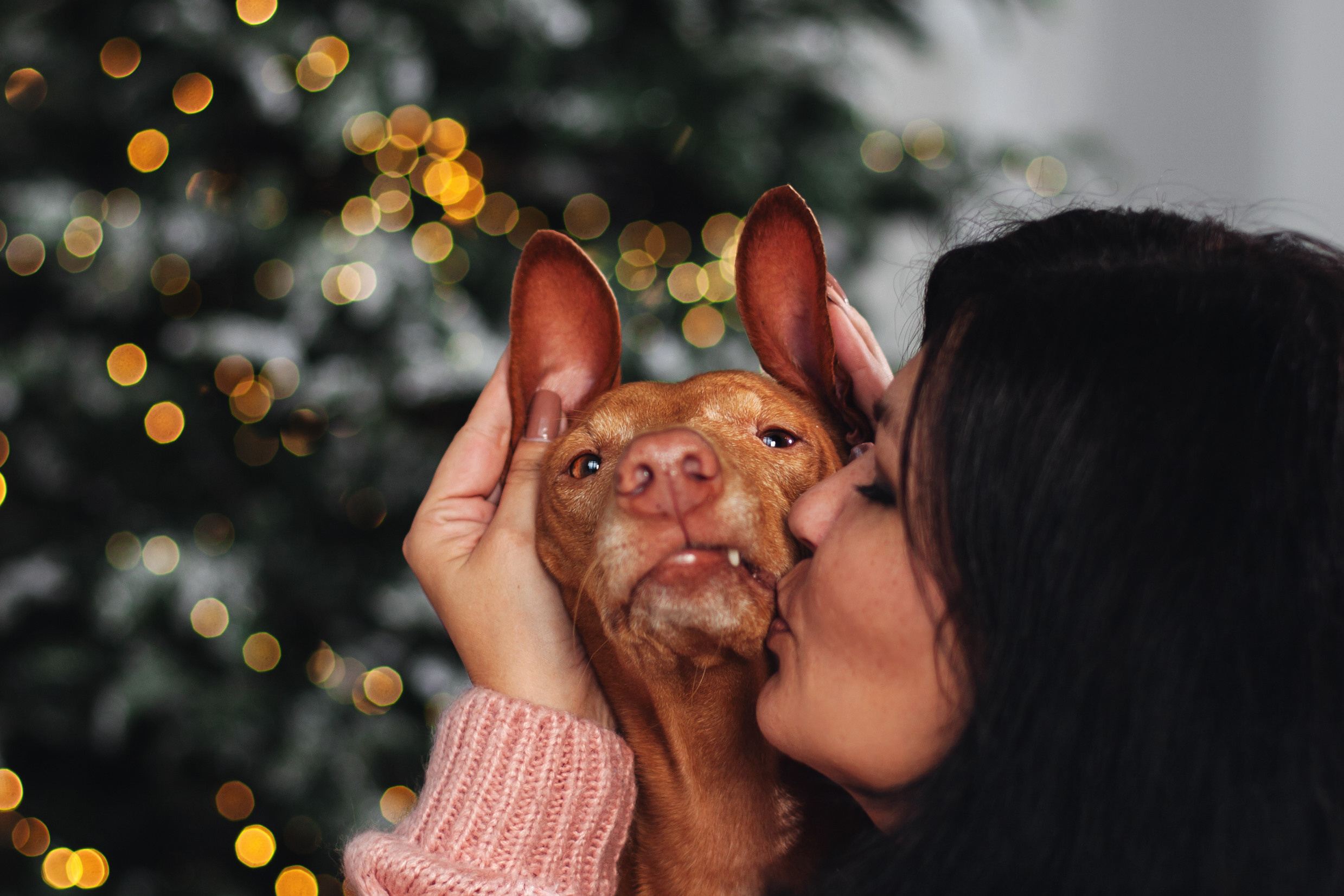 Юля и Мэри. Фотограф-анималист Татьяна Степанова