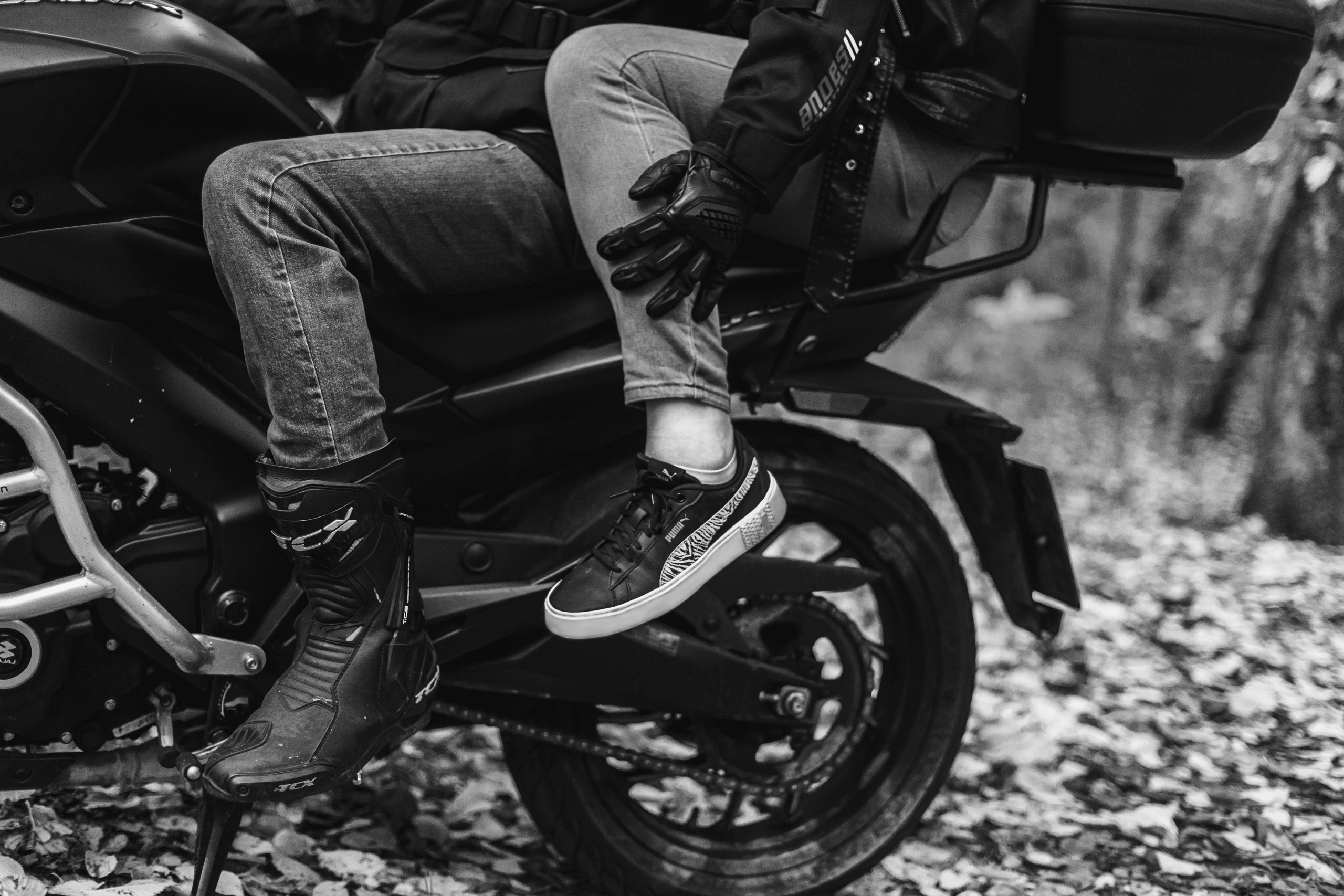 Кристина и Олег в Алешкинском лесопарке. Фотограф-анималист Татьяна Степанова