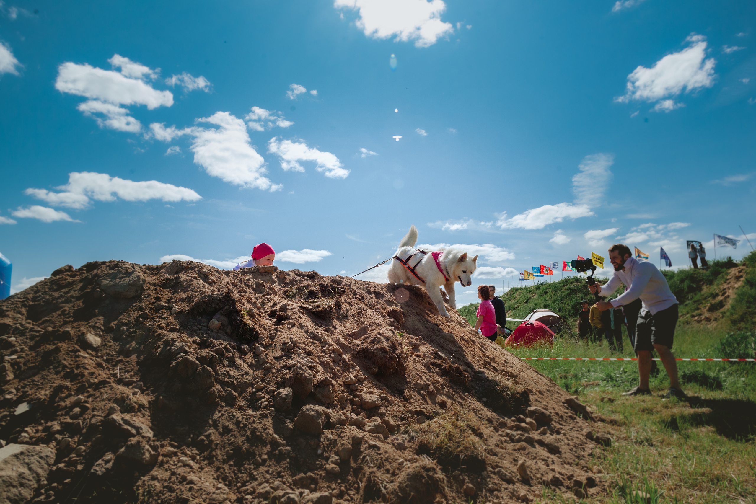 Хвостатый Драйв 11.06.2023. Фотограф-анималист Татьяна Степанова