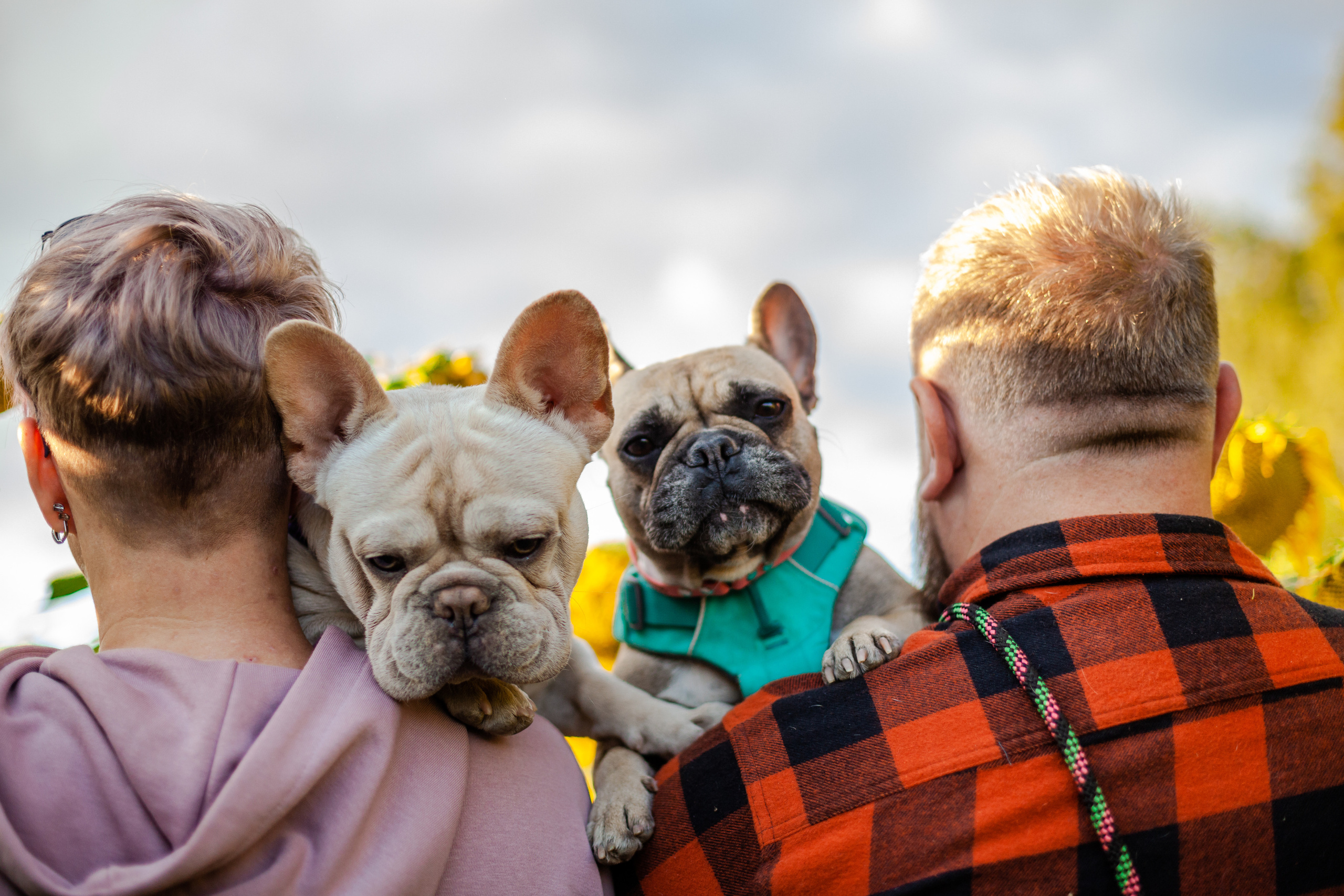 Коломна, стога и подсолнухи. Фотограф-анималист Татьяна Степанова