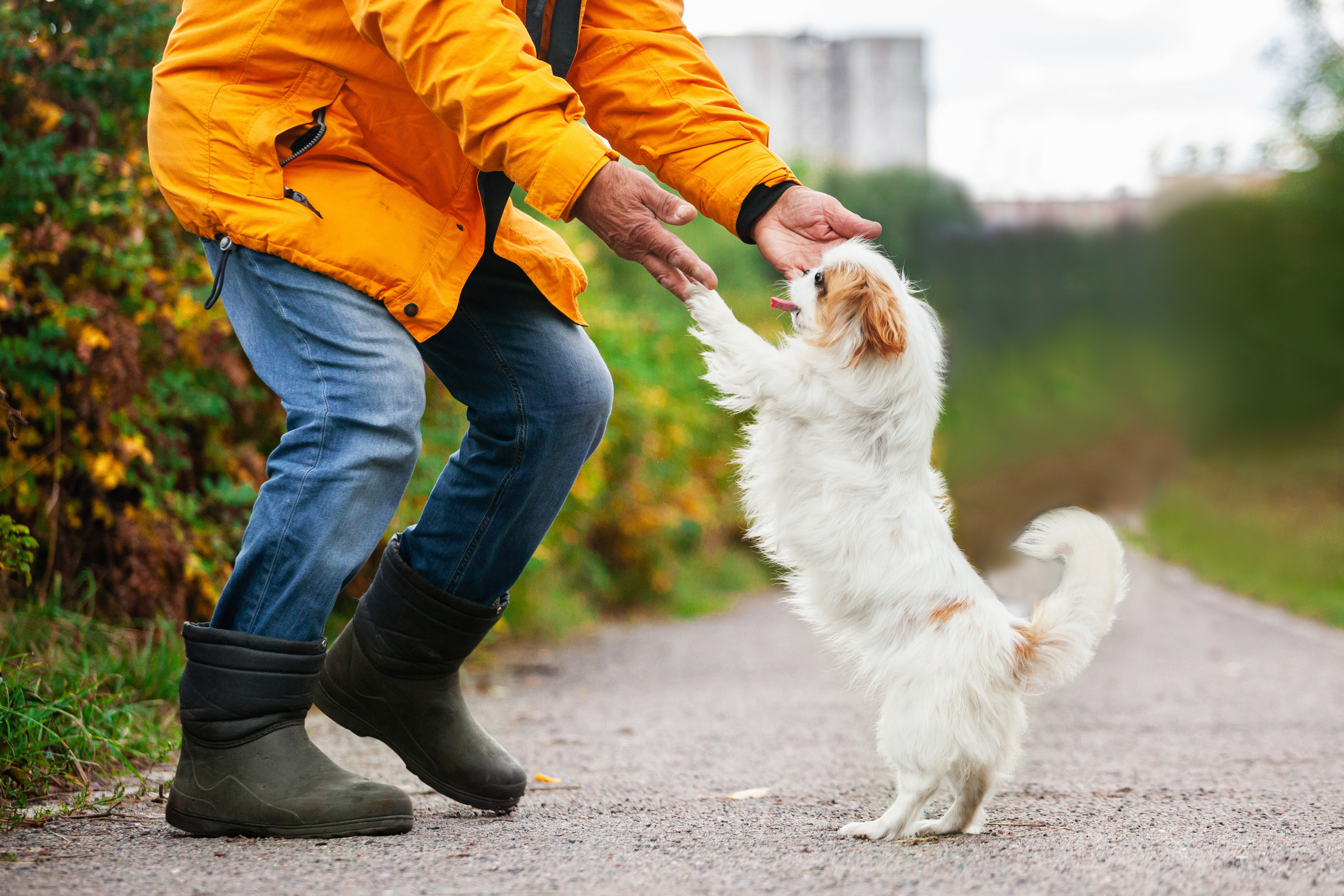 Лукас и Бусинка 2022. Фотограф-анималист Татьяна Степанова