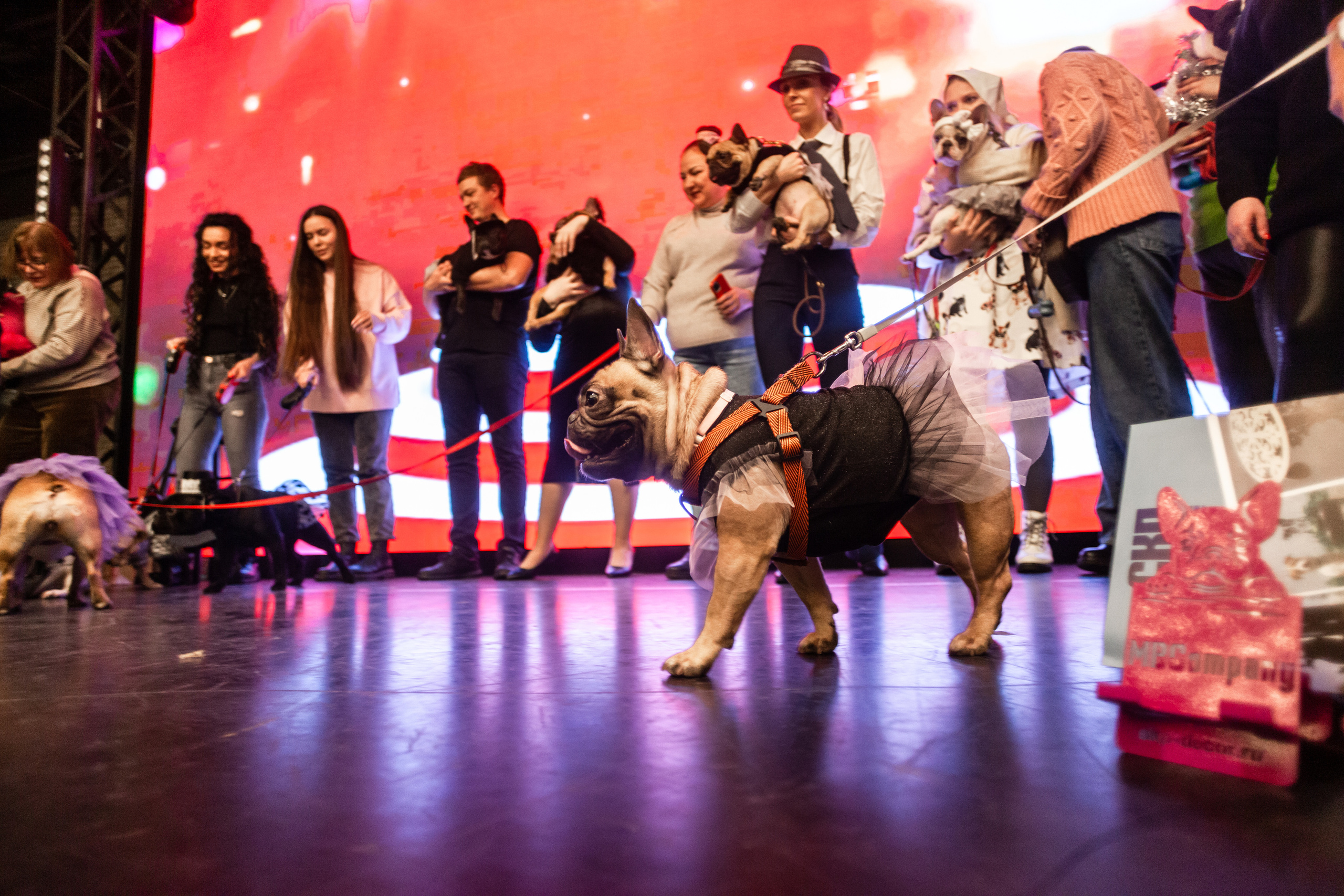 Бульелка 2022. Фотограф-анималист Татьяна Степанова