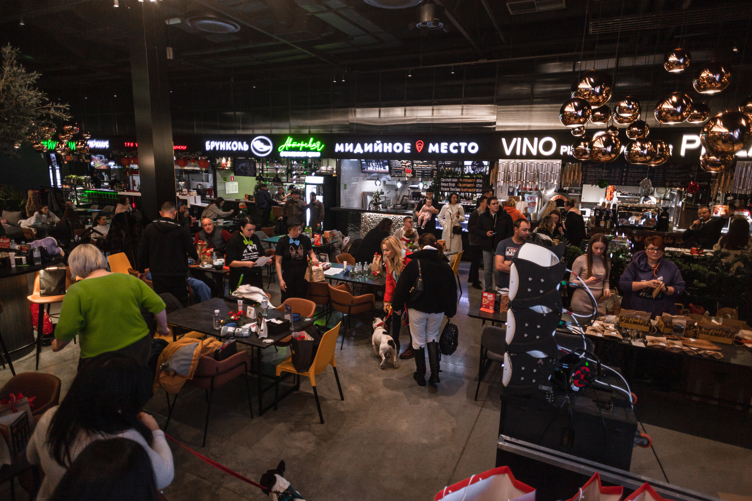 Бульелка 2022. Фотограф-анималист Татьяна Степанова