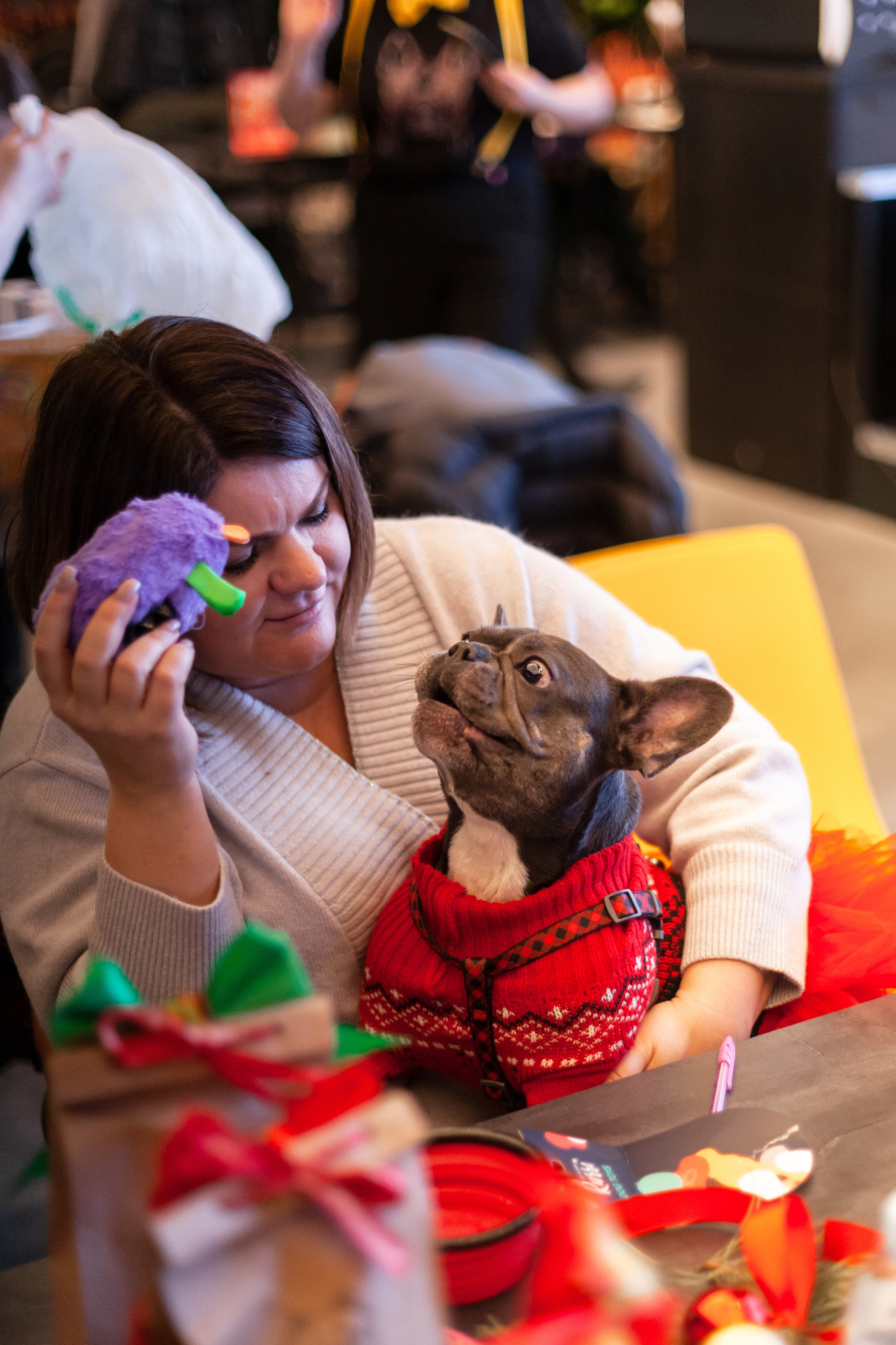 Бульелка 2022. Фотограф-анималист Татьяна Степанова