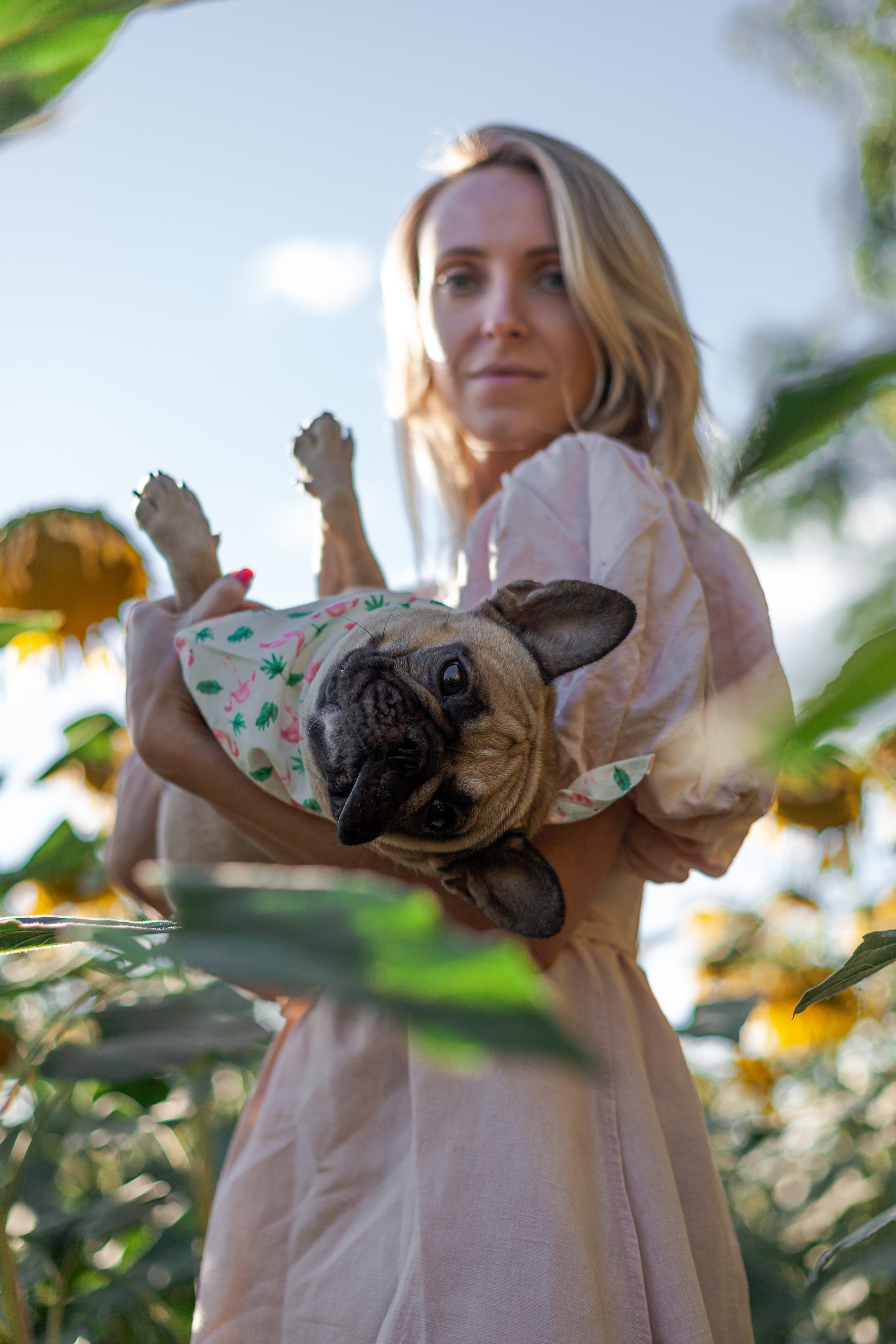 Коломна, стога и подсолнухи. Фотограф-анималист Татьяна Степанова