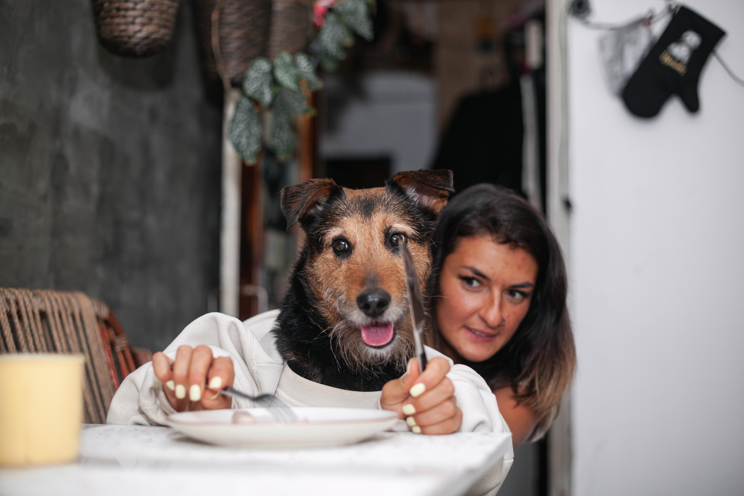 Лиза и Бренда. Фотограф-анималист Татьяна Степанова