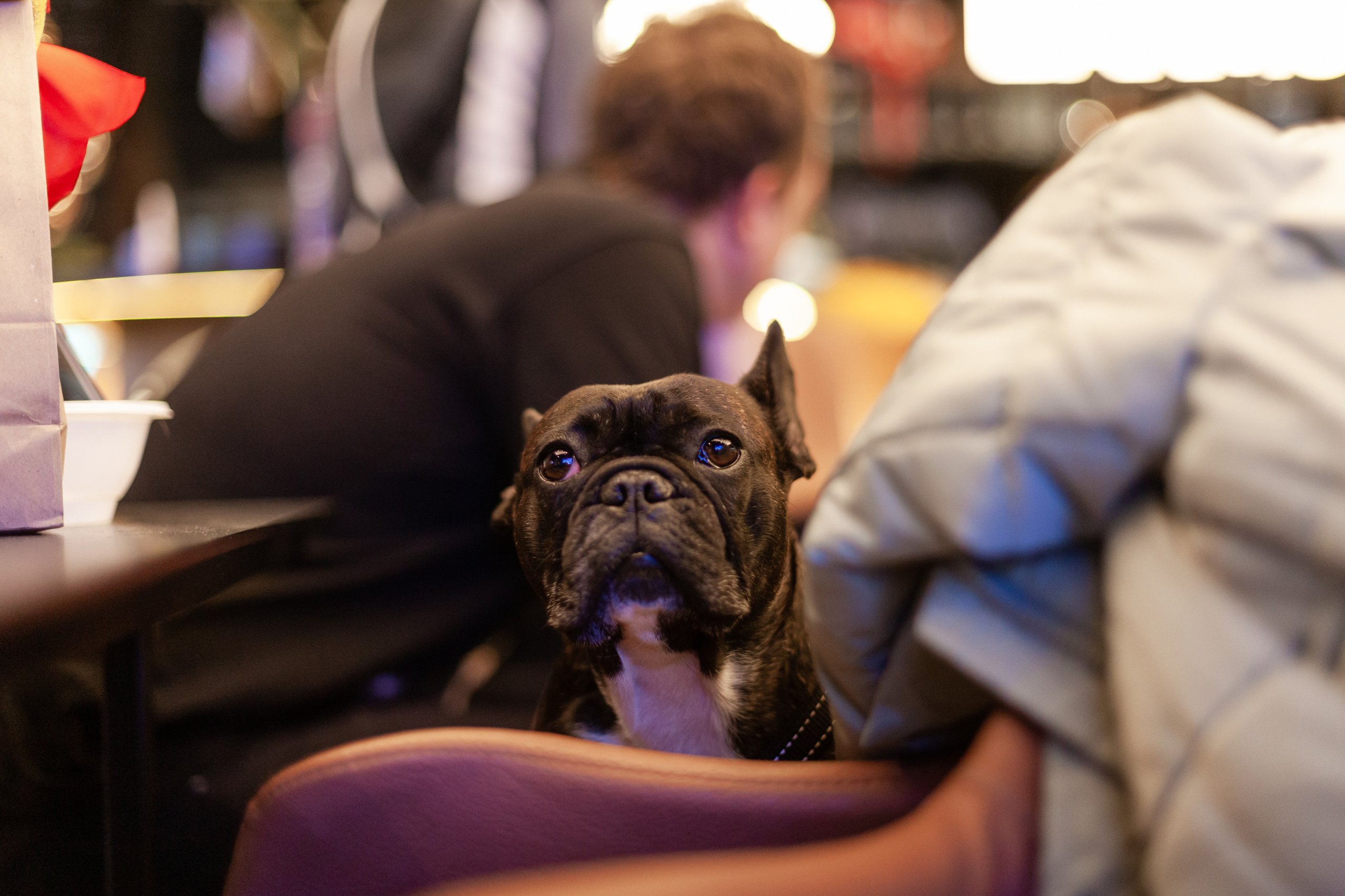 Бульелка 2022. Фотограф-анималист Татьяна Степанова