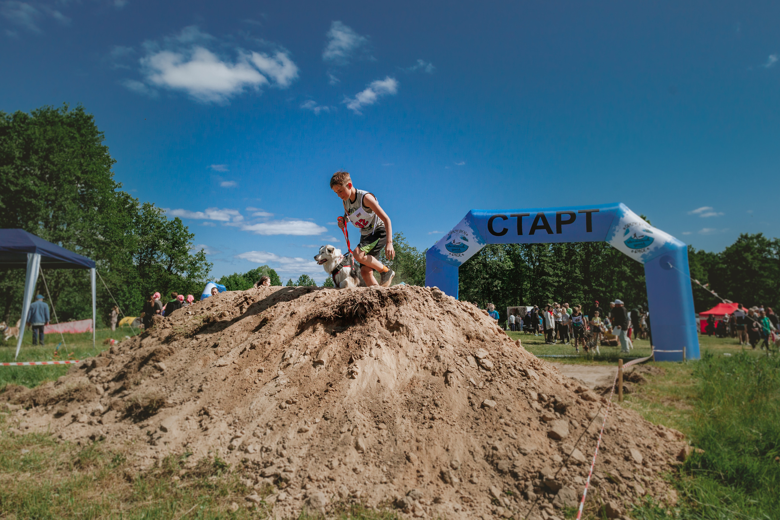 Хвостатый Драйв 11.06.2023. Фотограф-анималист Татьяна Степанова
